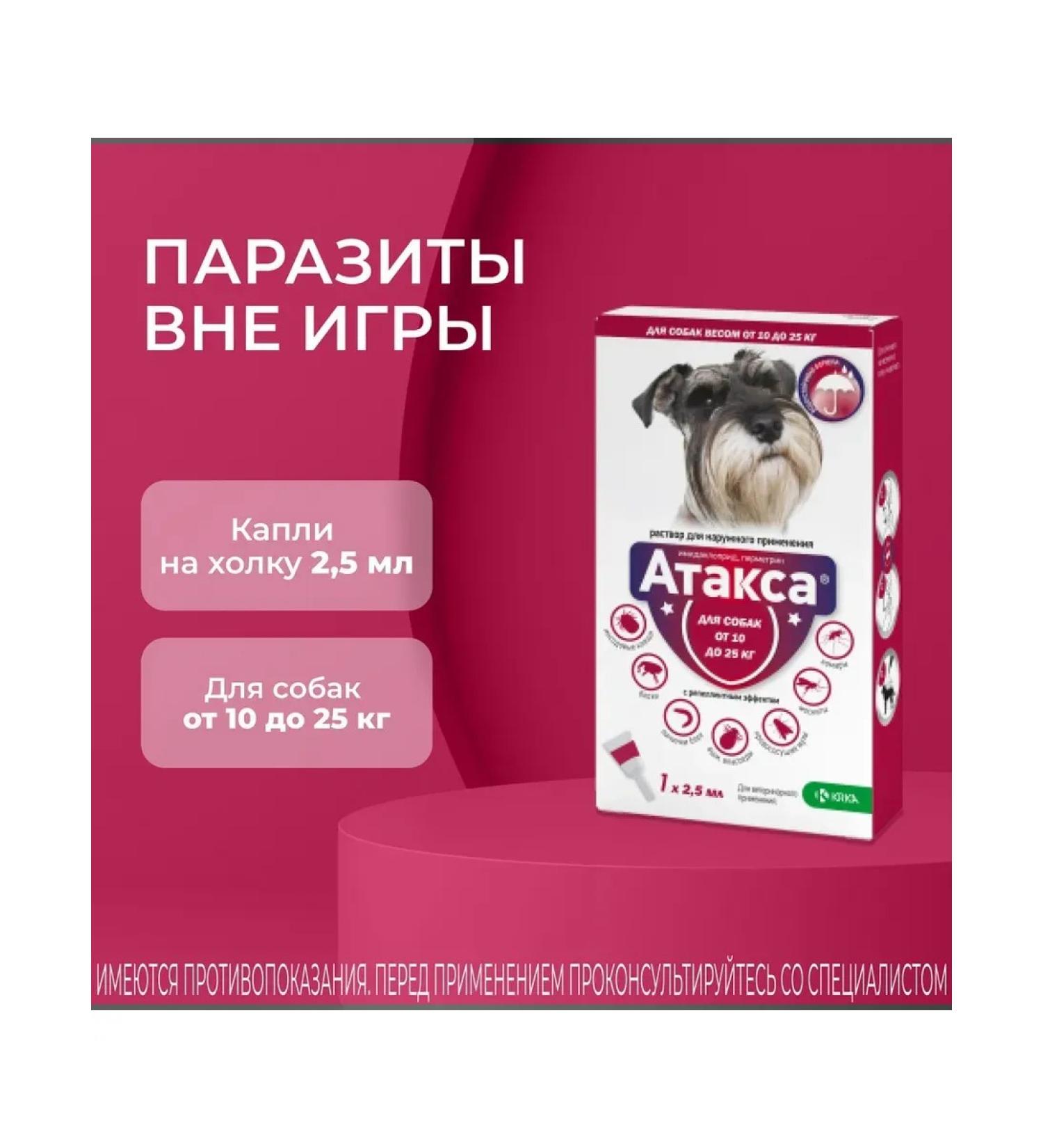 KRKA Attles of dog drops weighing 10 to 25 kg - Buy Online on GoSupps.com