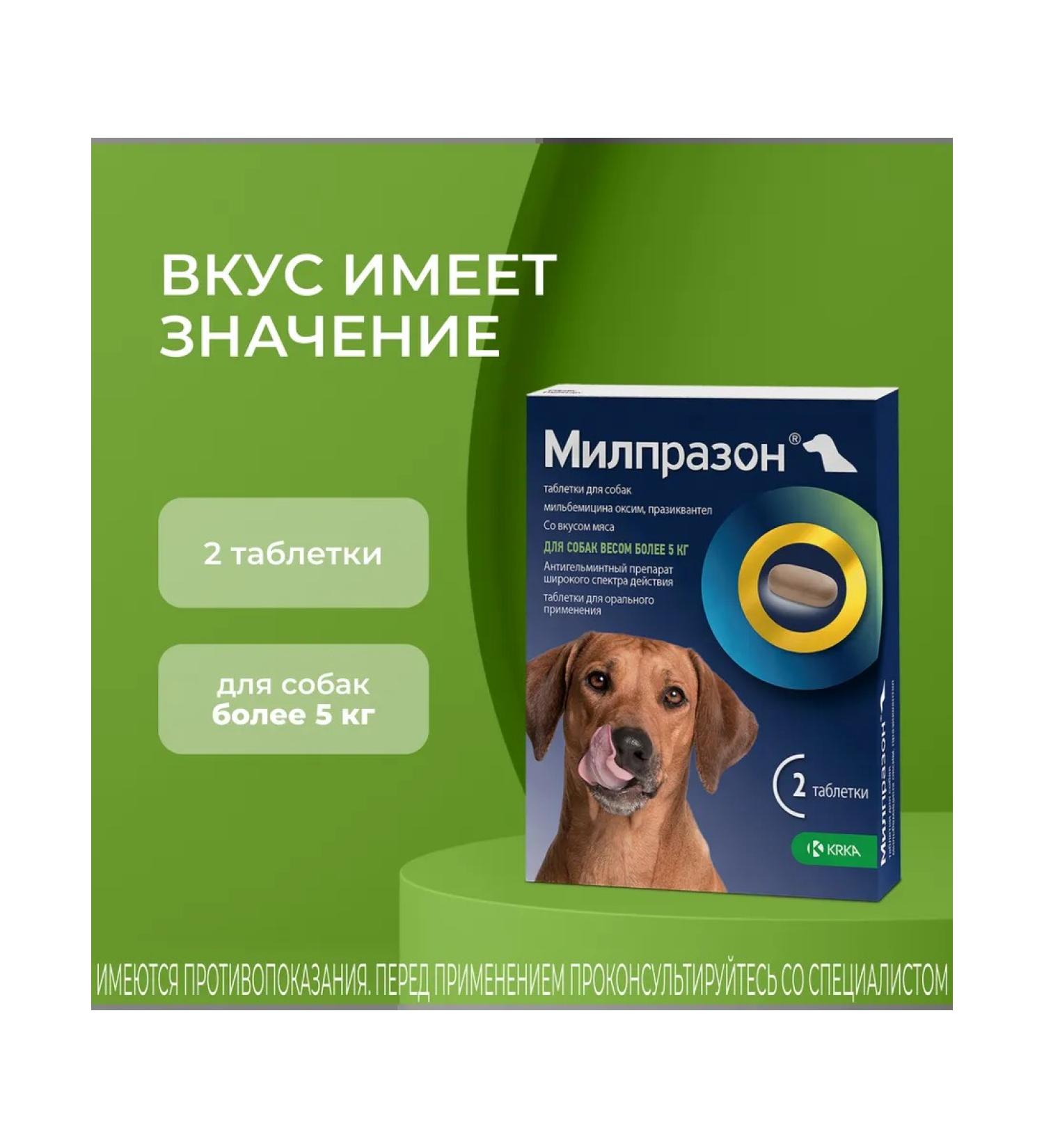 KRKA Milprazon Dog tablets weighing more than 5 kg 2 tab - Buy Online on GoSupps.com