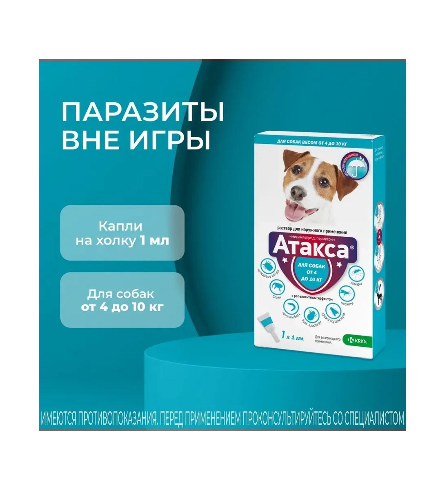 KRKA Attles of dog drops weighing 4 to 10 kg - Buy Online on GoSupps.com