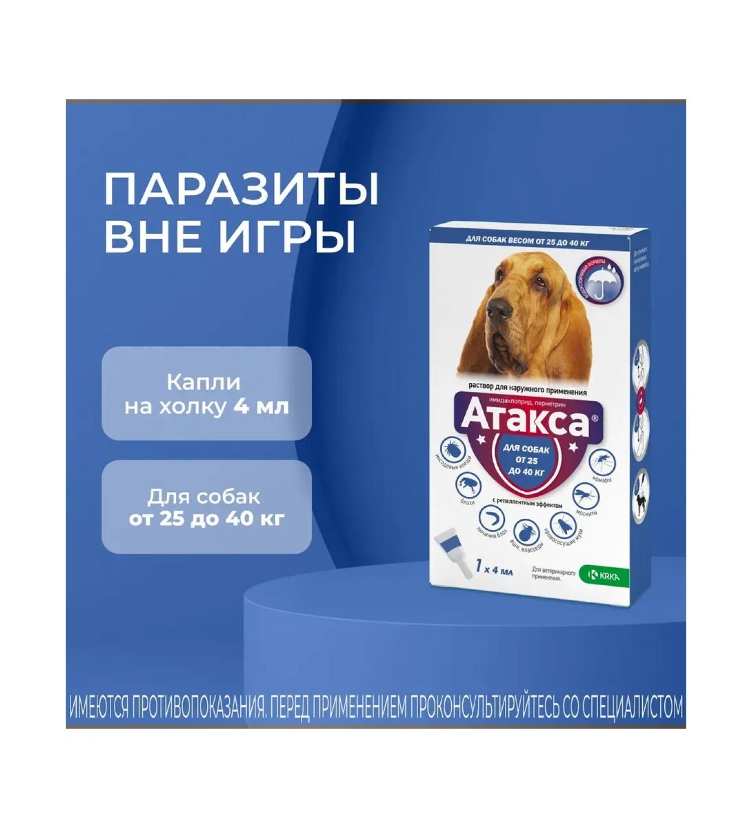 KRKA Attles of dog drops weighing over 25 kg - Buy Online on GoSupps.com