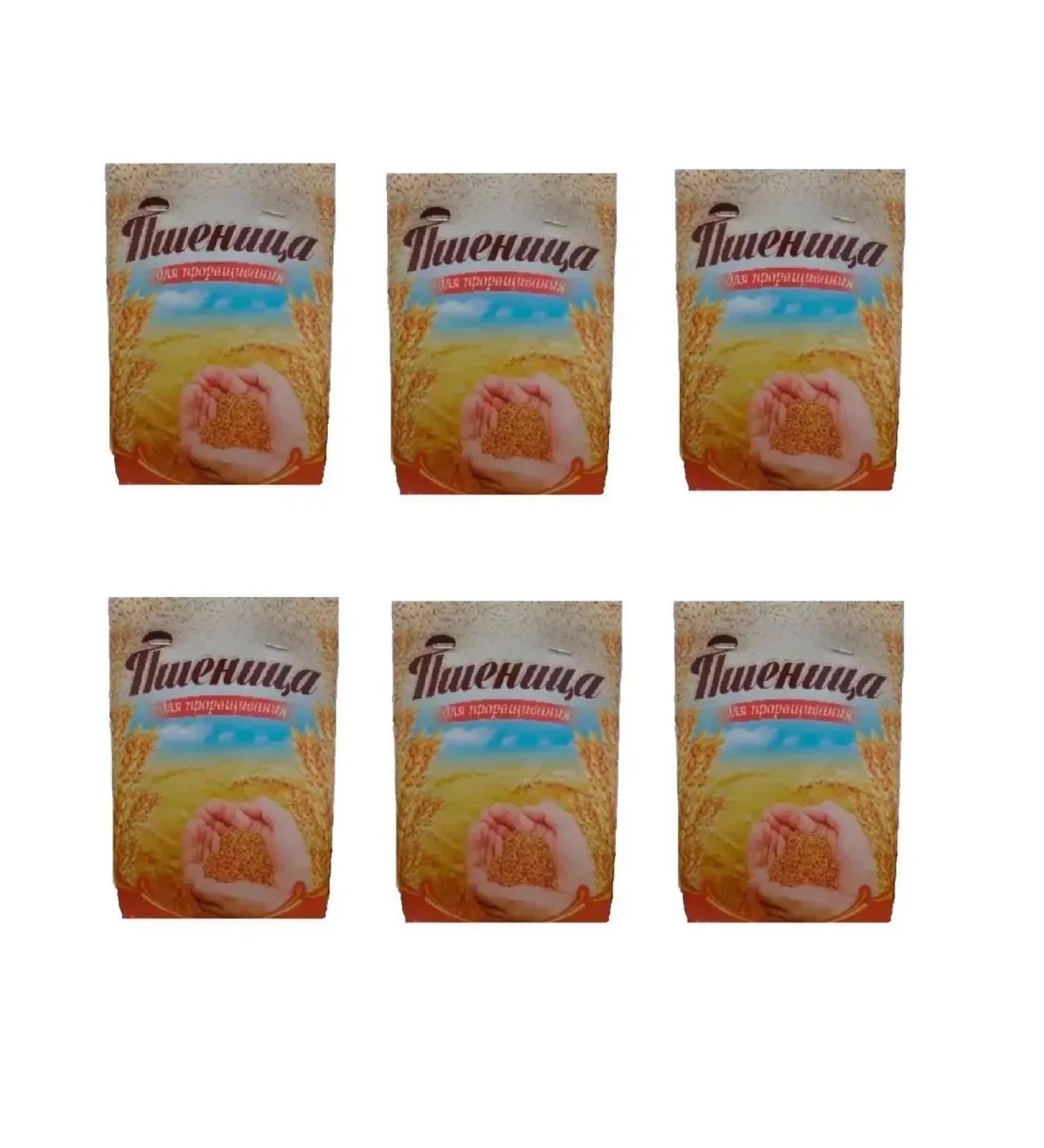 Your health Wheat grain 350 g 6 pcs