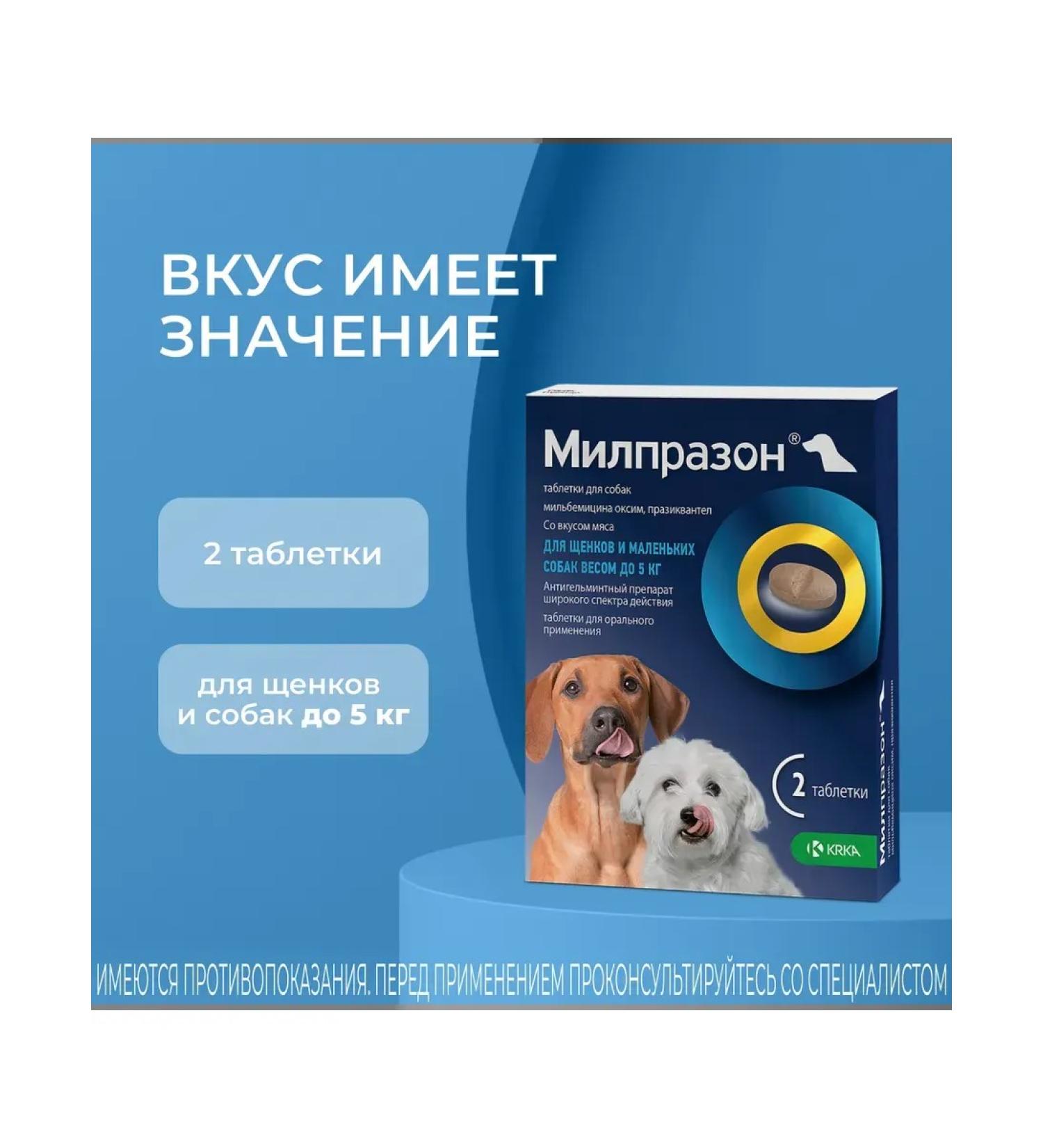 KRKA Milprazon tablets for puppies and dogs weighing  - Buy Online on GoSupps.com