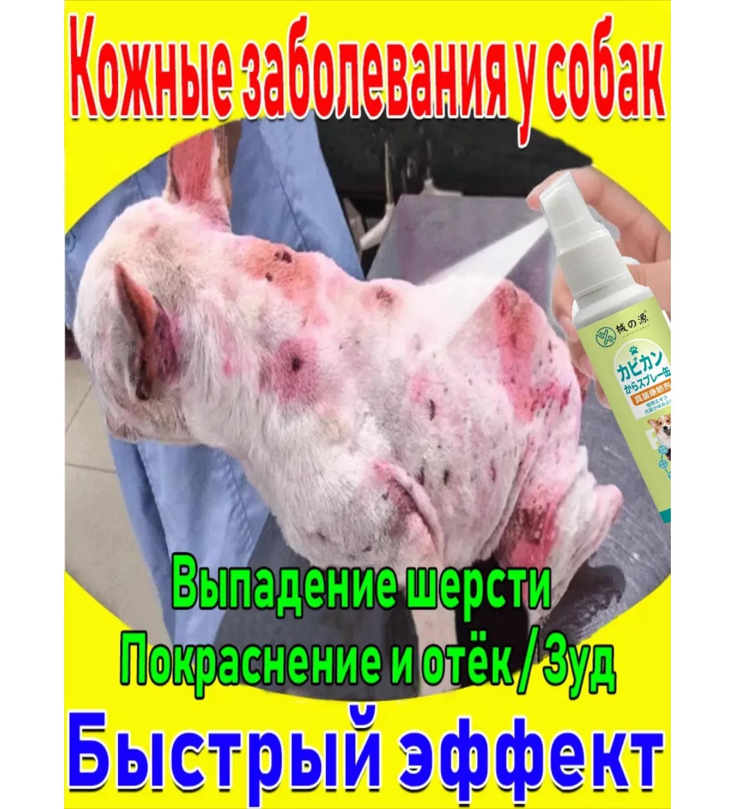 Stop itching for dogs spray - Buy Online on GoSupps.com