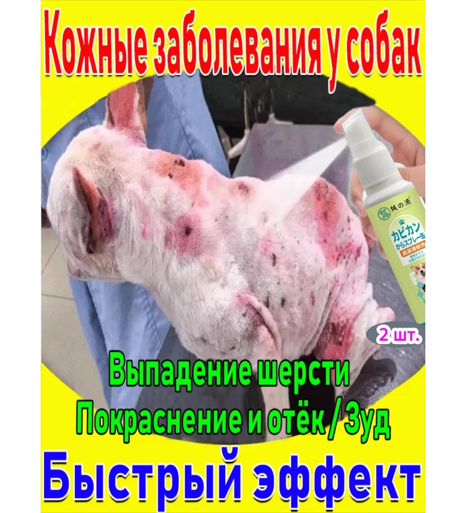 Spray for the treatment of skin diseases in cats and dogs 200 ml - Buy Online on GoSupps.com