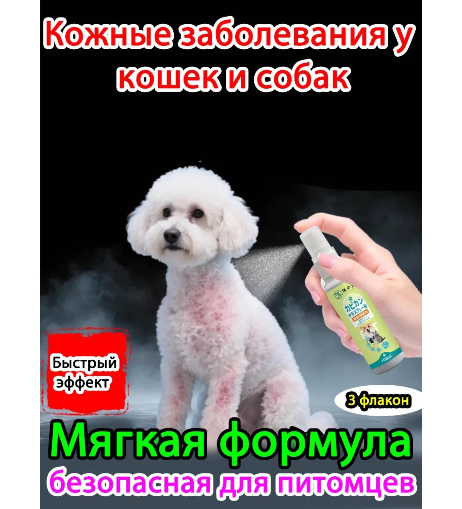 Spray from skin diseases for cats and dogs - Buy Online on GoSupps.com