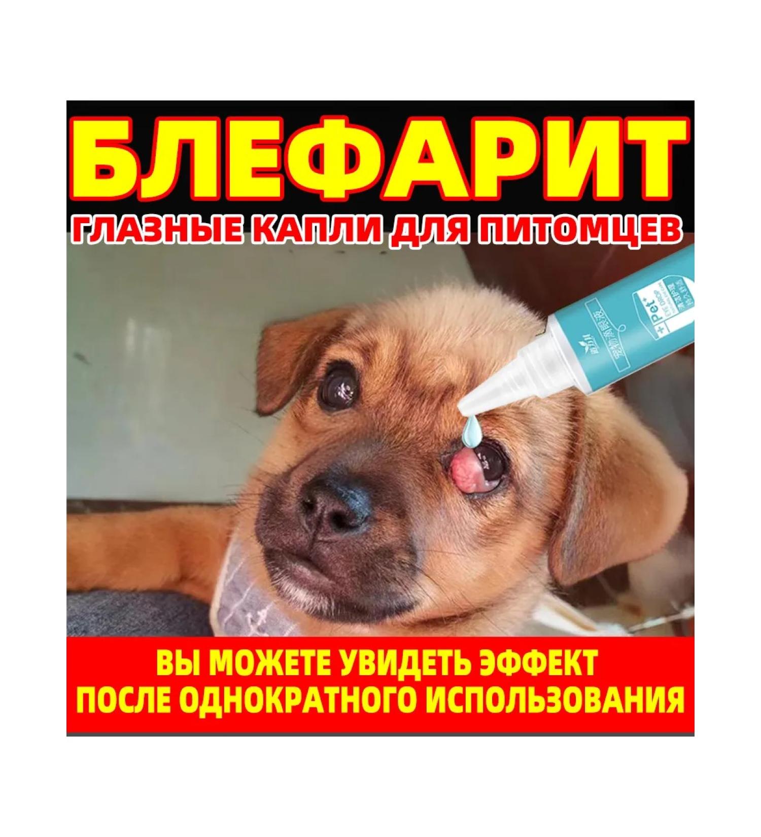 Eye drops for cats and dogs from blepharitis - Buy Online on GoSupps.com