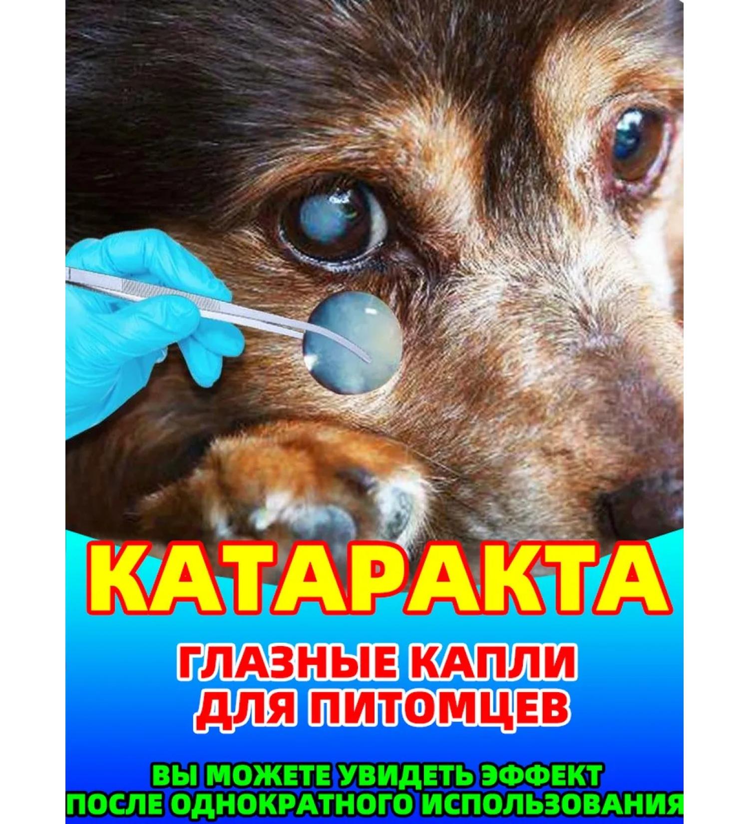Eye drops for cats and dogs from cataracts - Buy Online on GoSupps.com