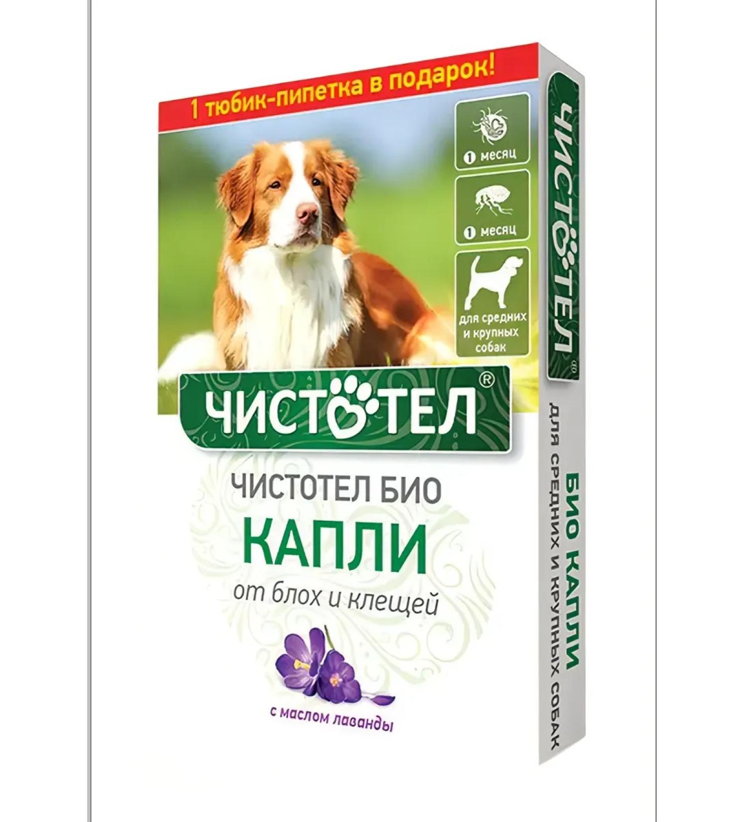 Celandine Drops from fleas and ticks for medium and large dogs