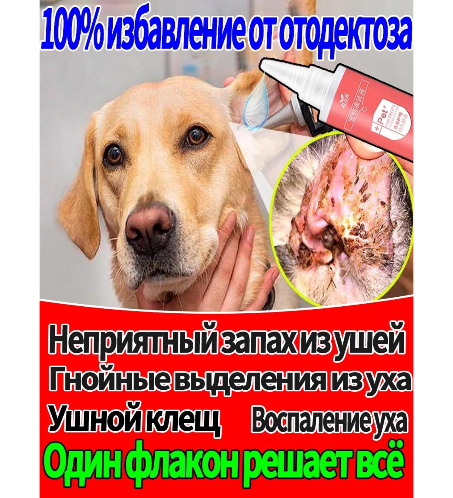 Drops from the ear tick for a cat - Buy Online on GoSupps.com