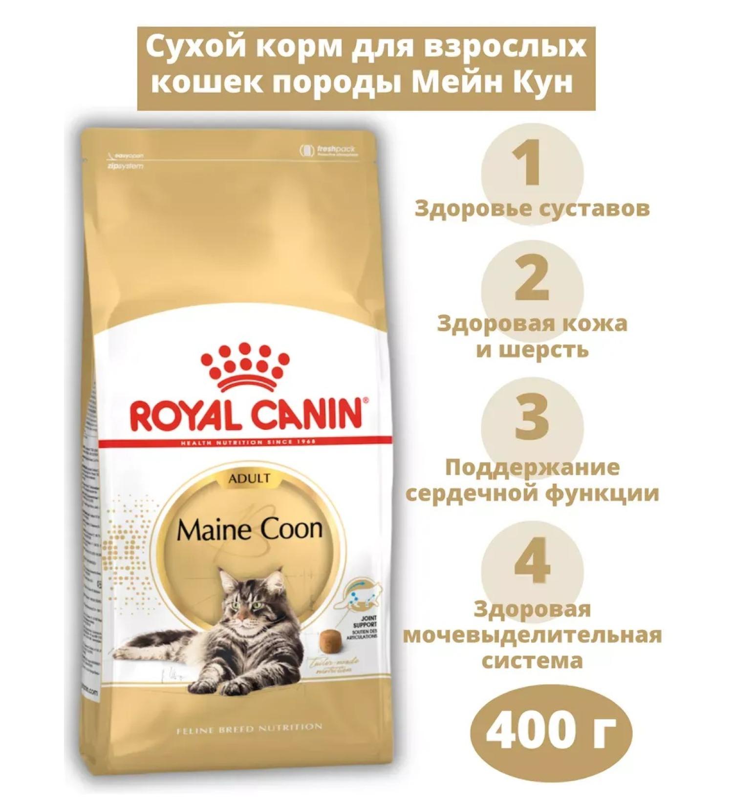 ROYAL CANIN Main Coon Adult for adult cats Maine Kun 400 g - Buy Online on GoSupps.com
