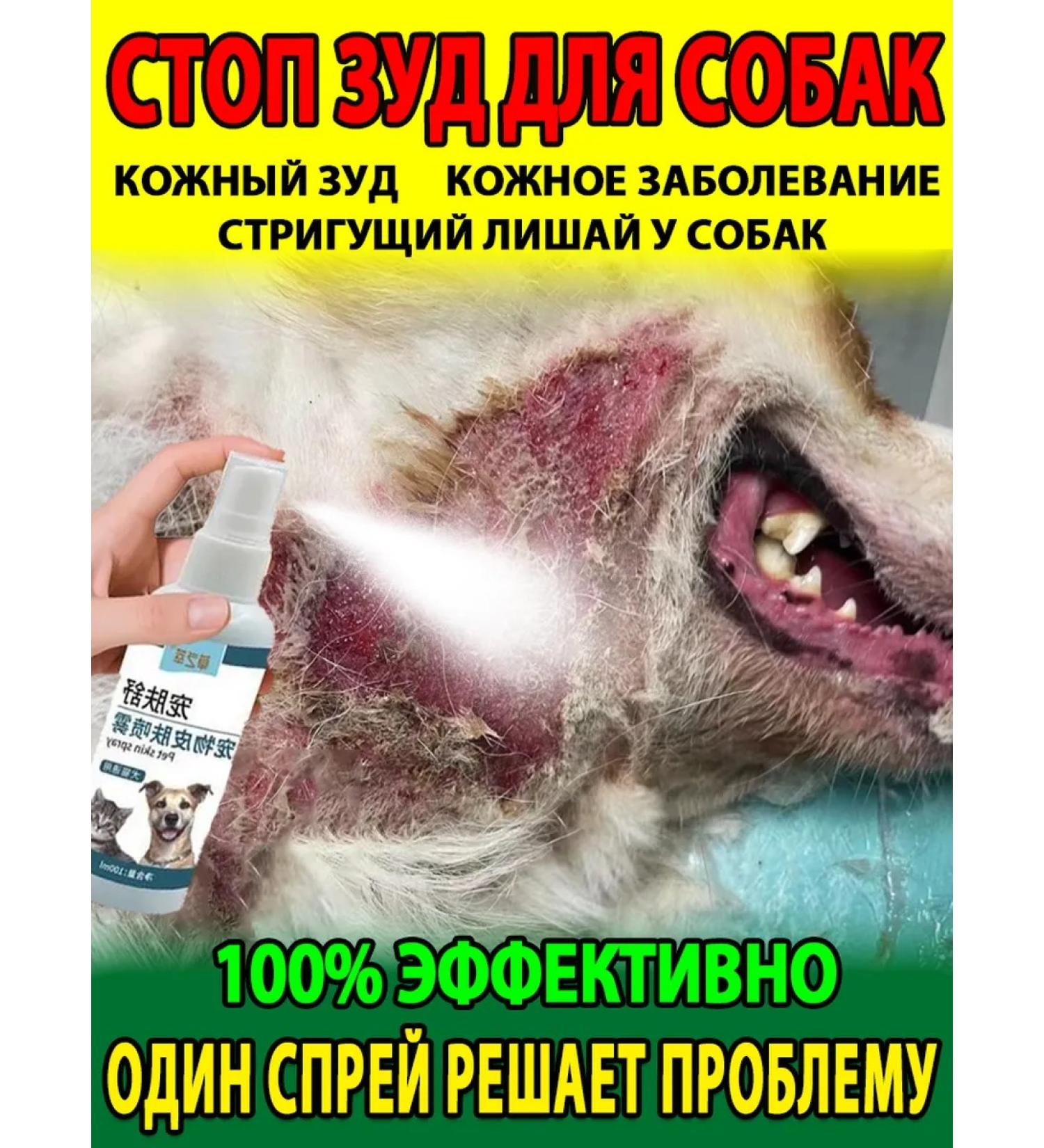 Spray from itching and peeling of dogs and cats 100ml - Buy Online on GoSupps.com