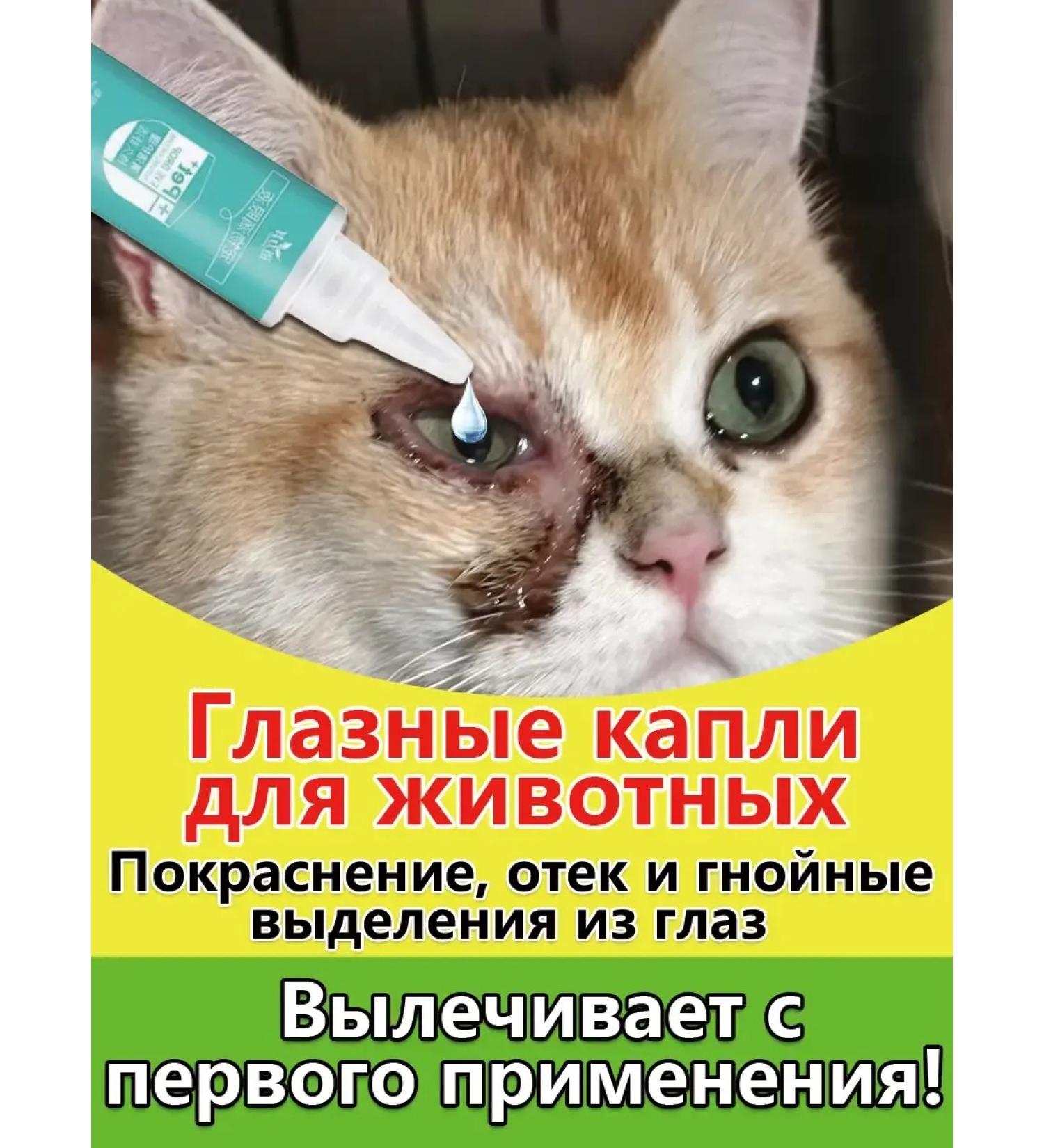 Drops for the eyes for cats medical - Buy Online on GoSupps.com