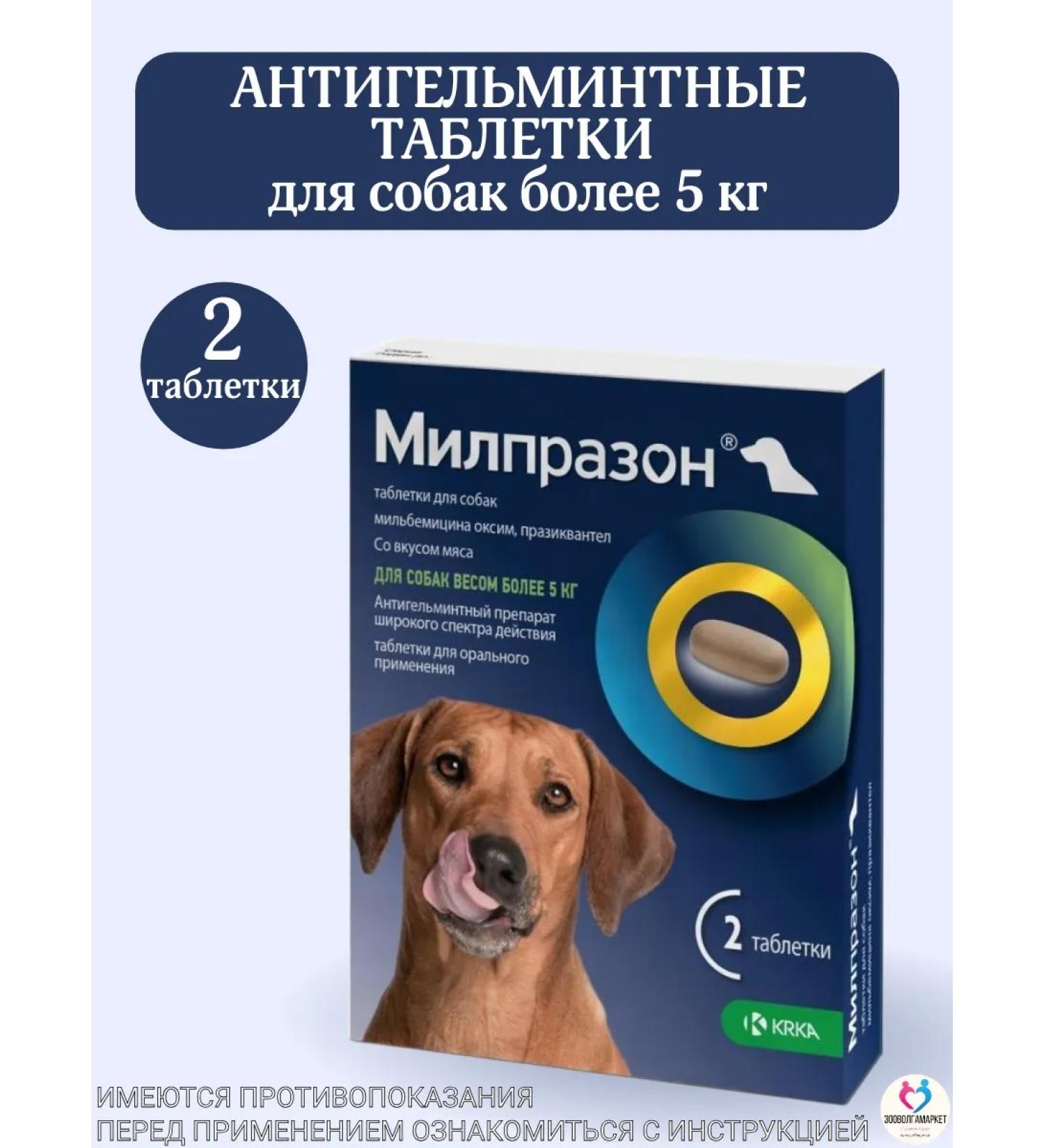 KRKA Milprazone Dog tablets more than 5 kg - Buy Online on GoSupps.com