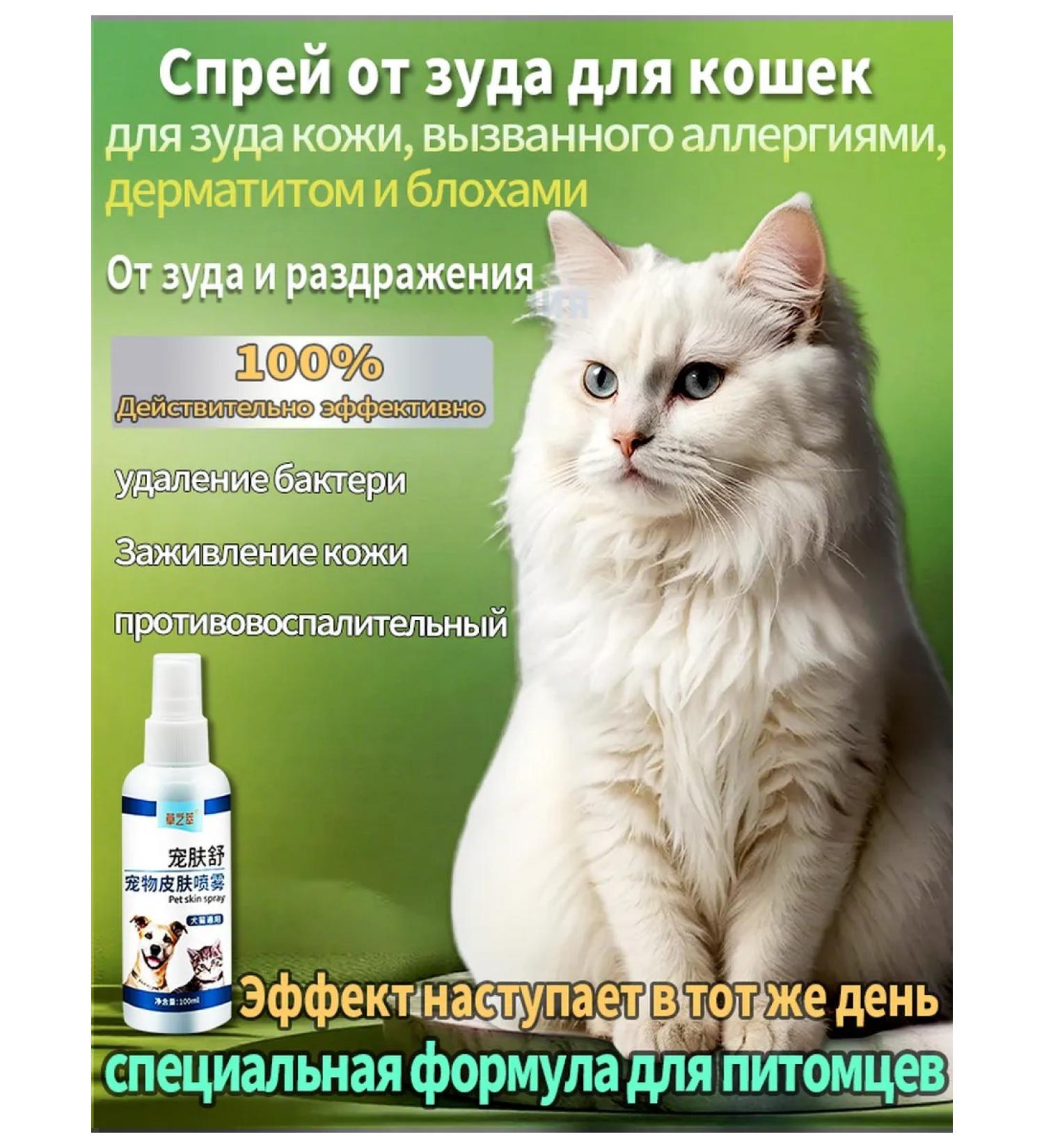 Spray for cat skin to eliminate itching 100 ml - Buy Online on GoSupps.com