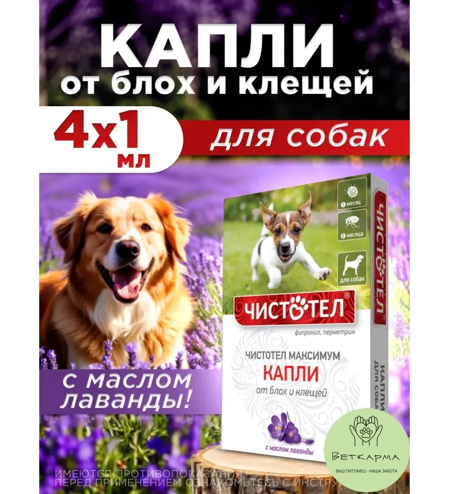 Neoterica Drops of celandine maximum for dogs with lavender 4 peep - Buy Online on GoSupps.com