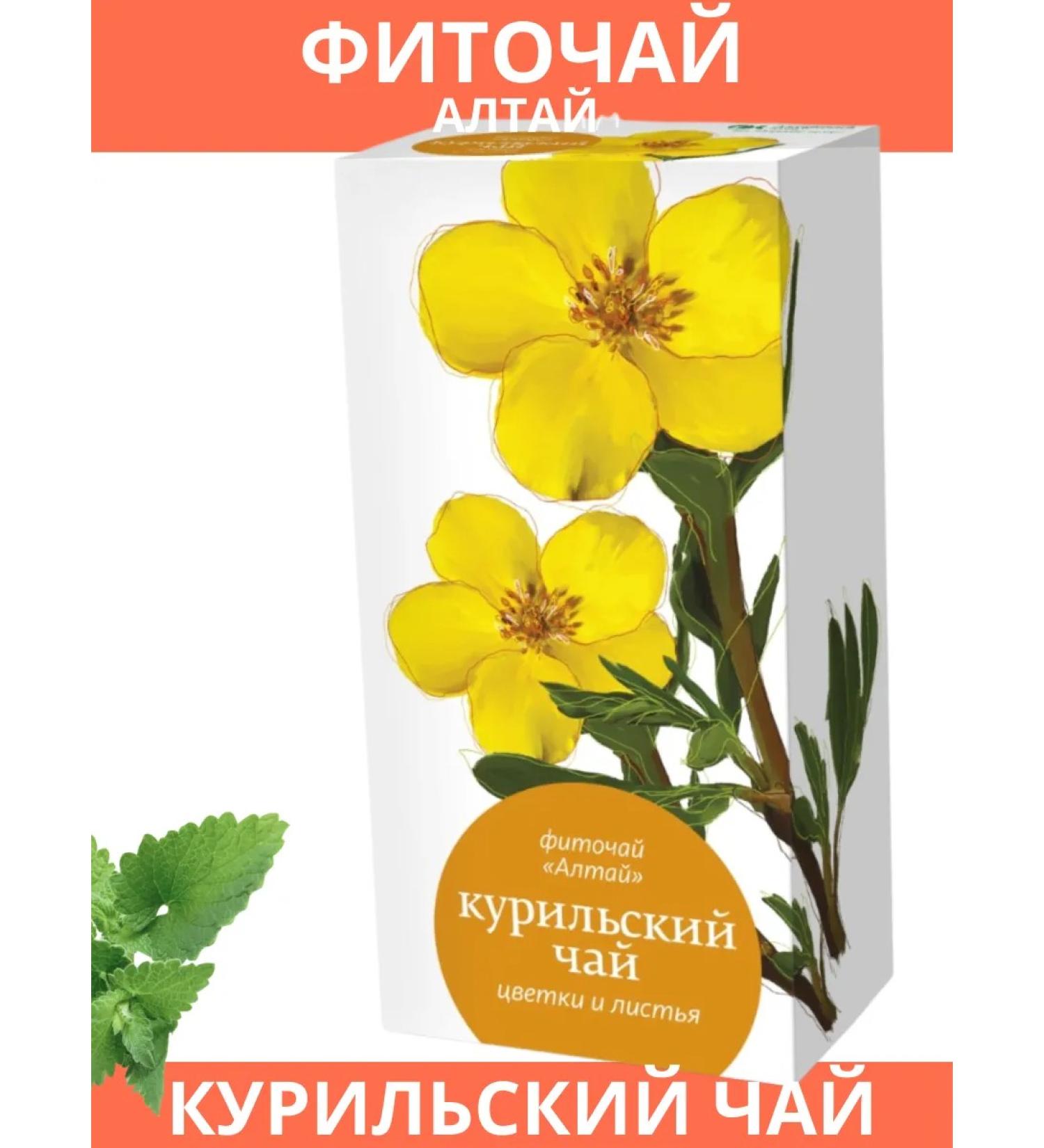 Altai cedar Kurilian tea in bags - Buy Online on GoSupps.com