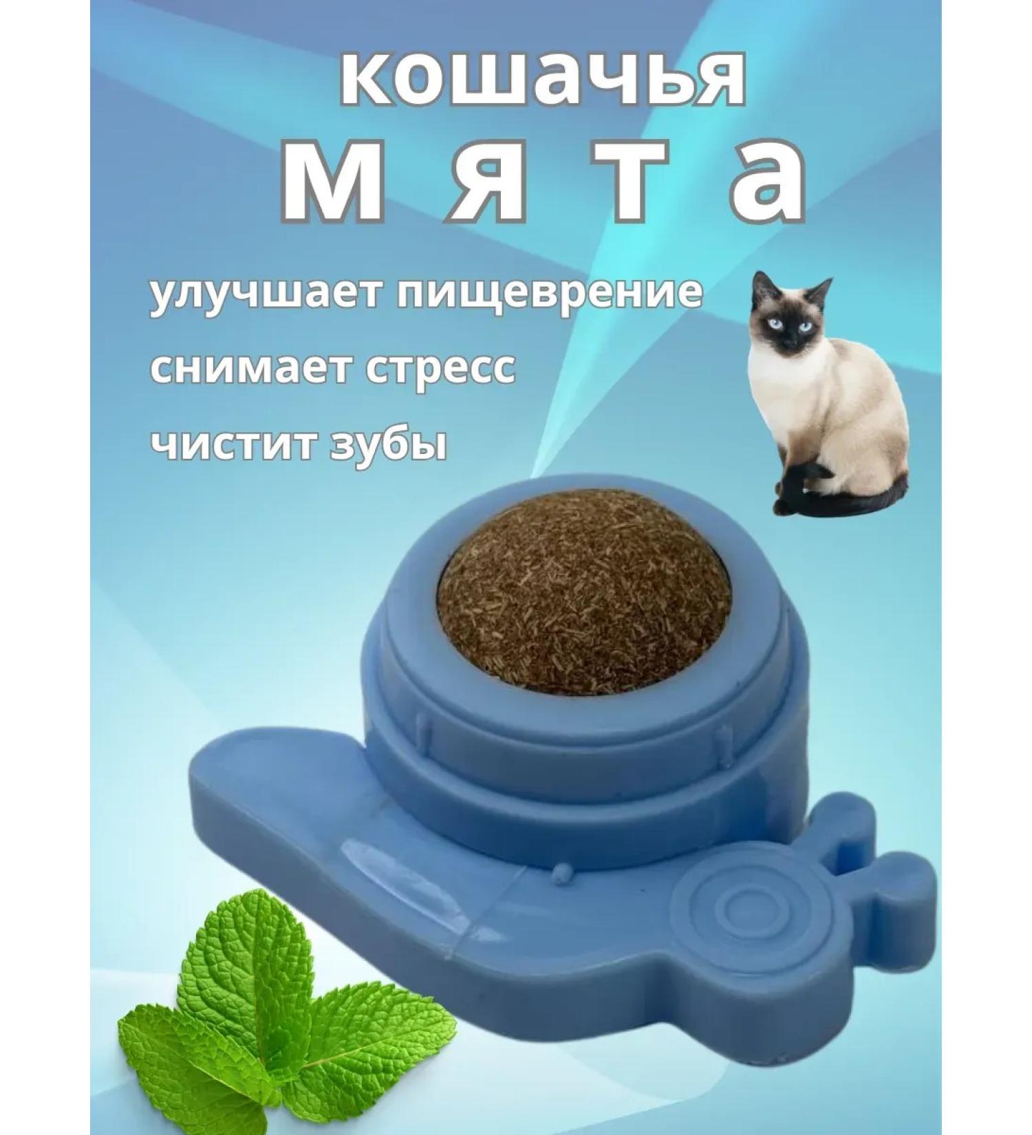 Lily & Co Catnip - Buy Online on GoSupps.com