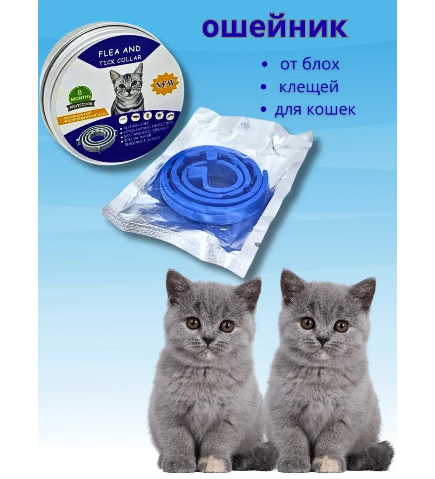 ZAYN 81 Collar for cats and kittens from fleas and parasites - Buy Online on GoSupps.com