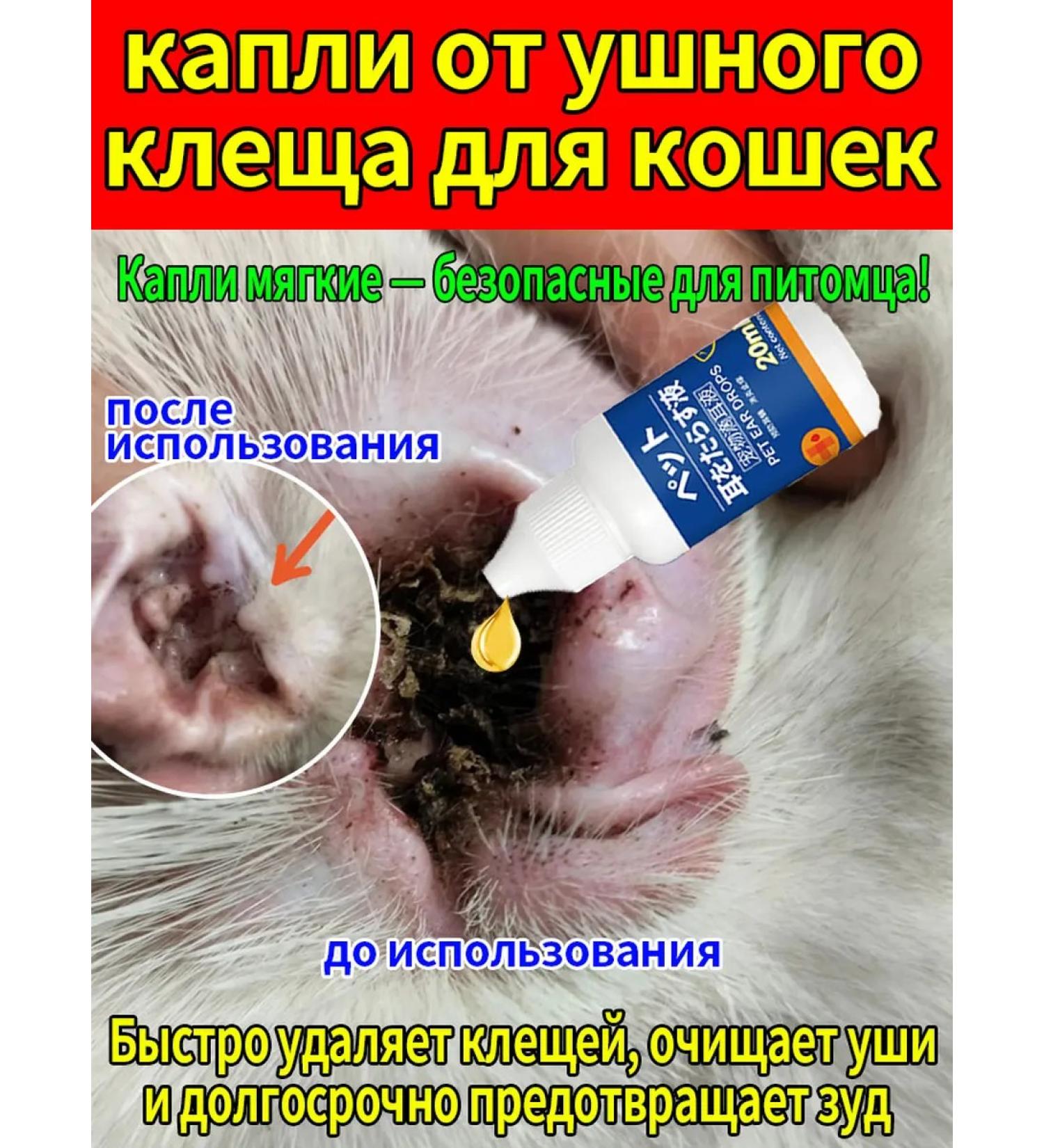 Mechanical Source Plum from the ear tick for cats 20 ml - Buy Online on GoSupps.com