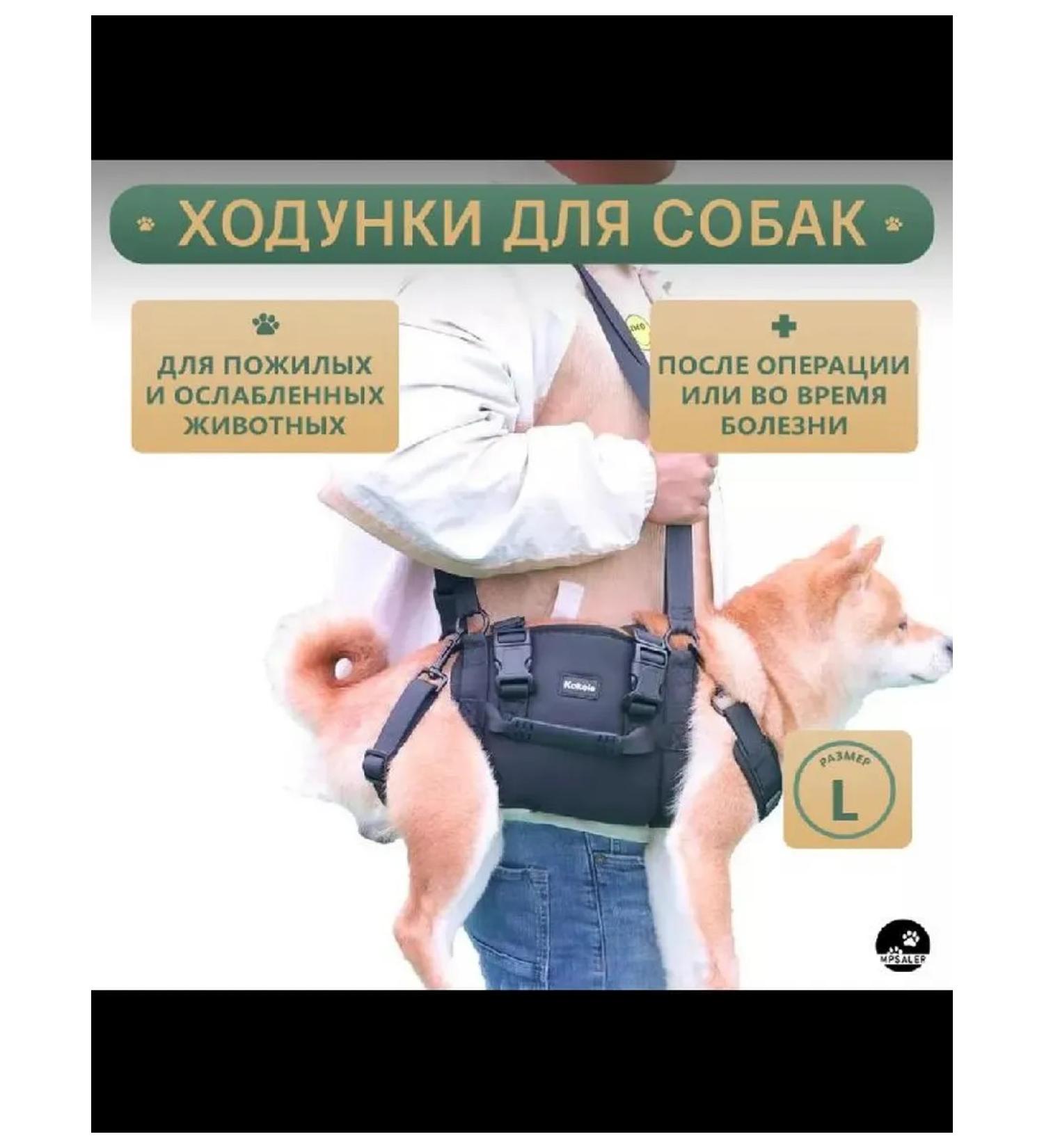 Walkers for dogs. L - Buy Online on GoSupps.com