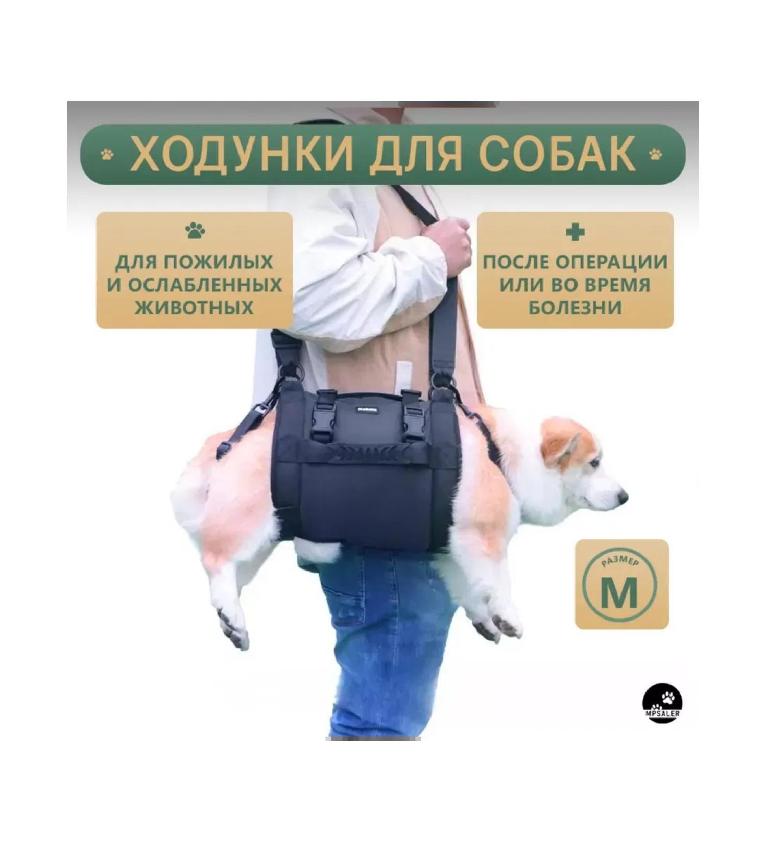 Walking straps for dogs m - Buy Online on GoSupps.com