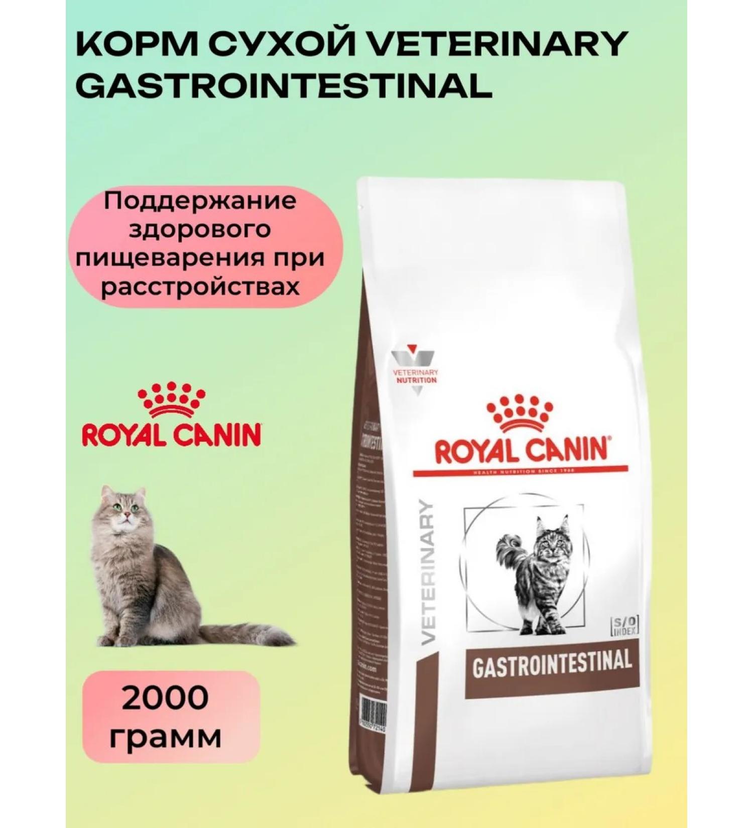 ROYAL CANIN Dry food (with digestive disorders) 2kg - Buy Online on GoSupps.com