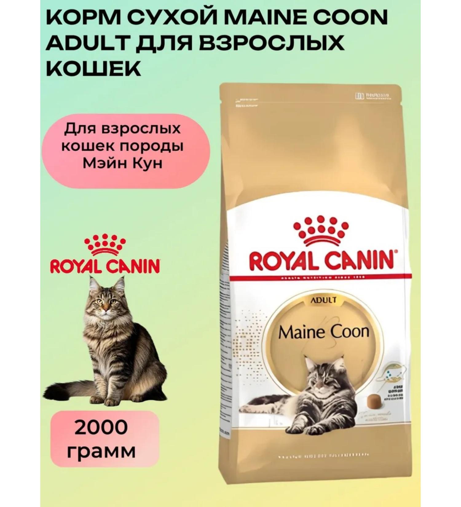 ROYAL CANIN Dry food for adult cats of the breed Main Kun 2 kg - Buy Online on GoSupps.com