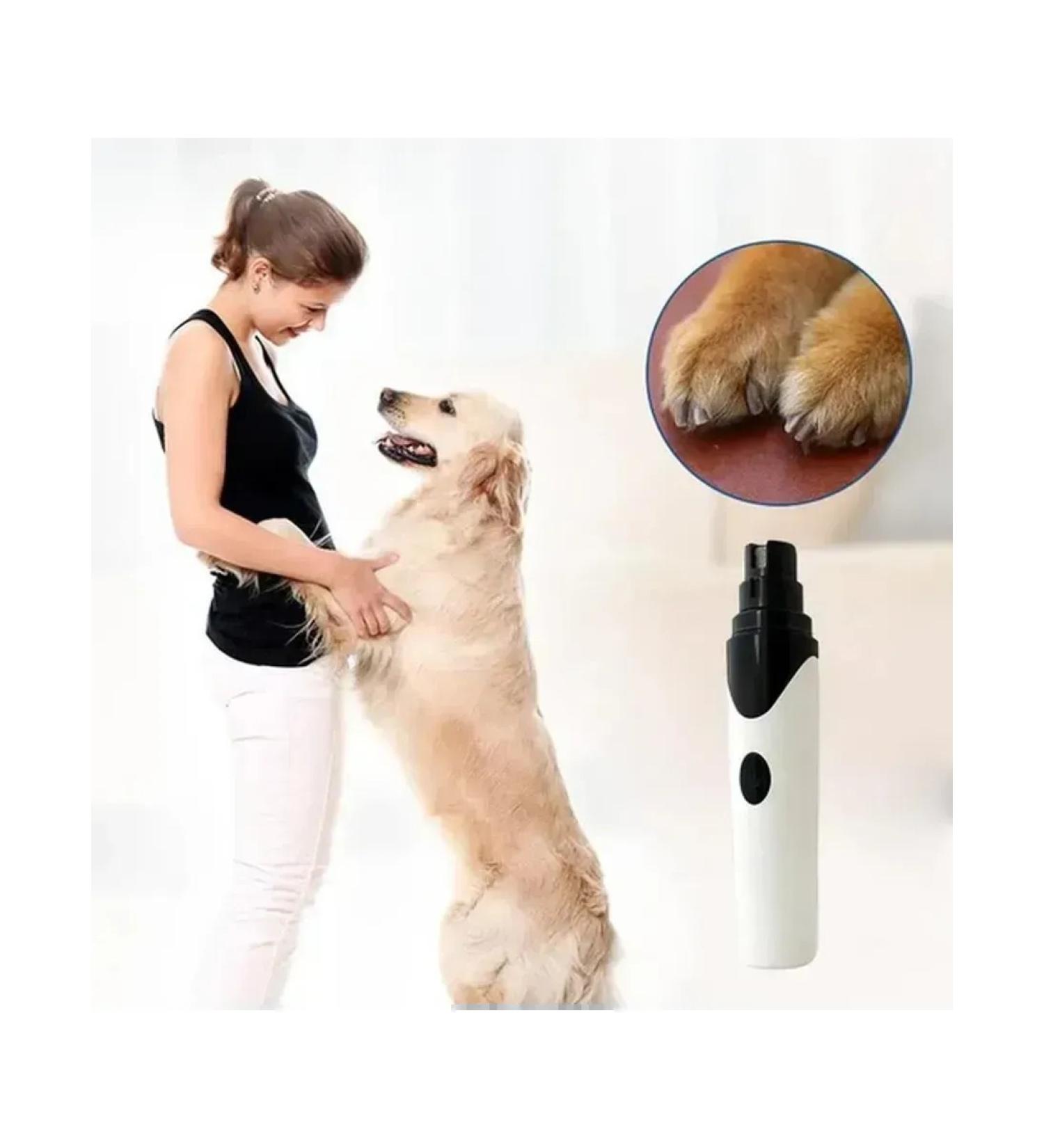 Safe grinding machine for dogs - Buy Online on GoSupps.com