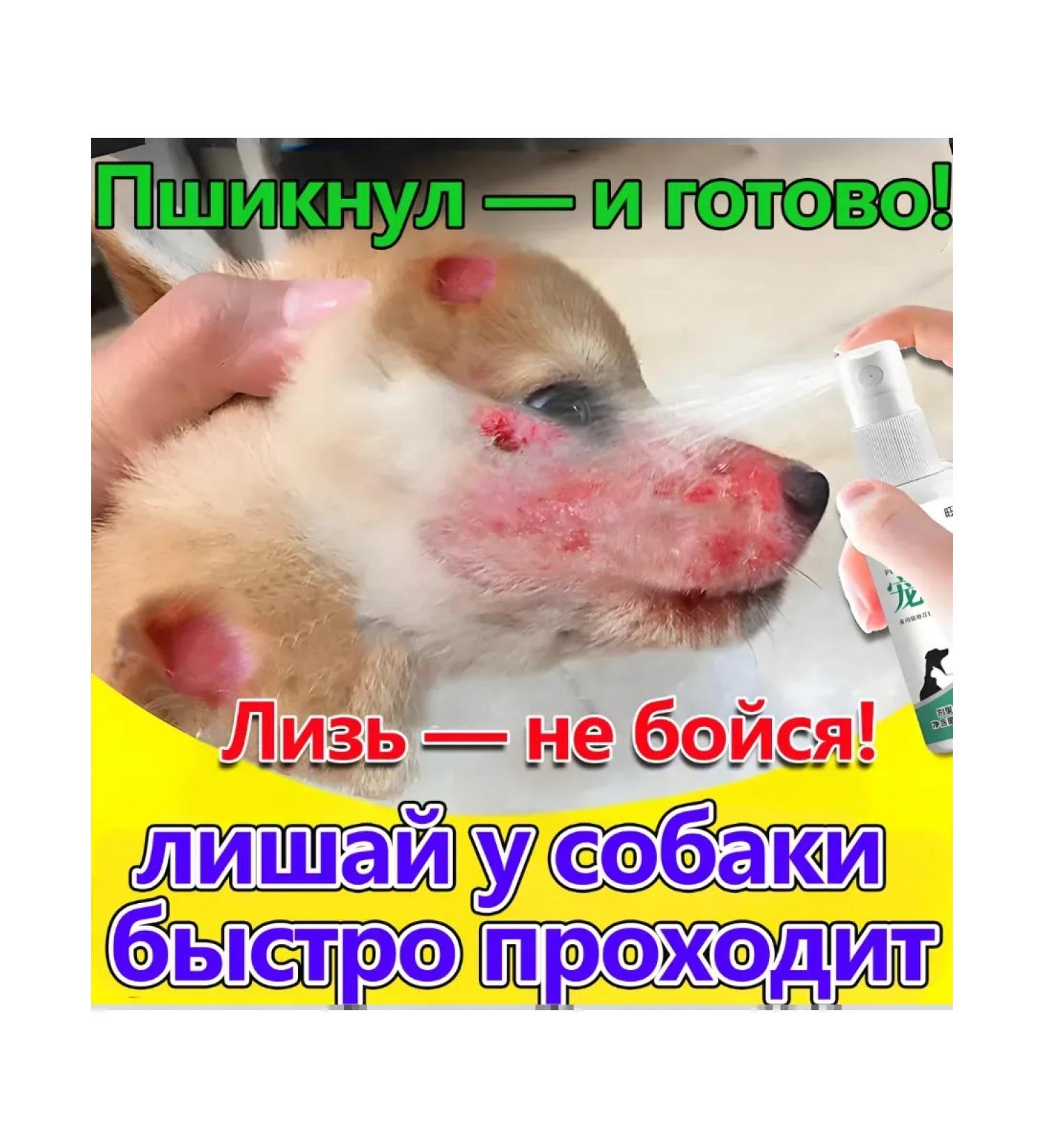 Spray from lichen for dogs - Buy Online on GoSupps.com