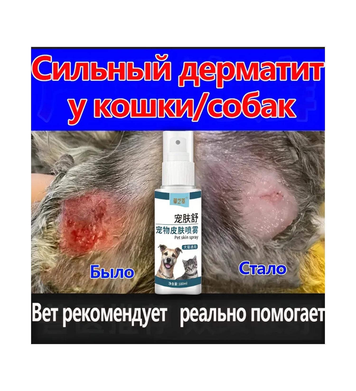 Spray from dermatitis for cats and dogs - Buy Online on GoSupps.com