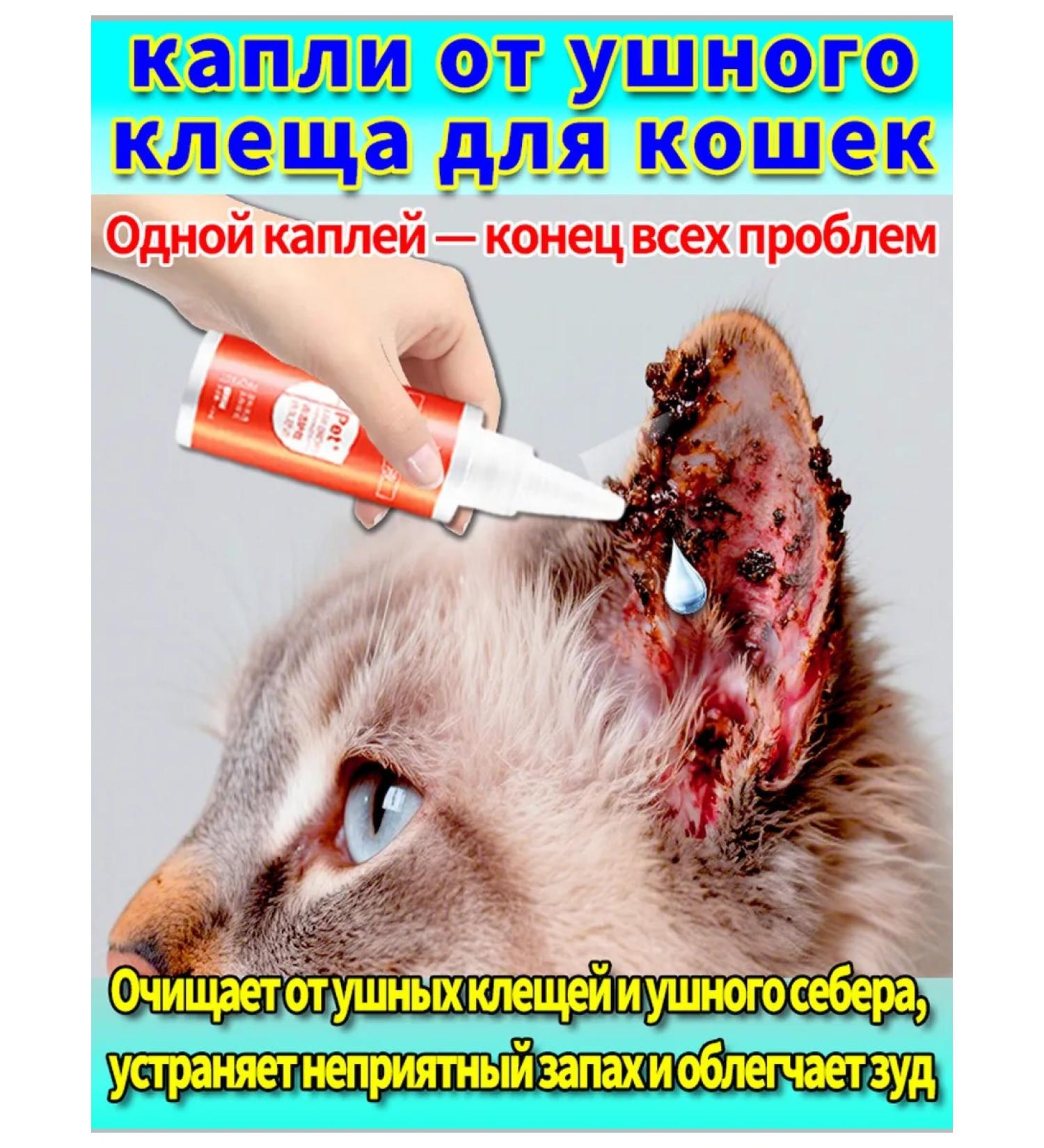 Ear drops for cats with a soothing effect - Buy Online on GoSupps.com