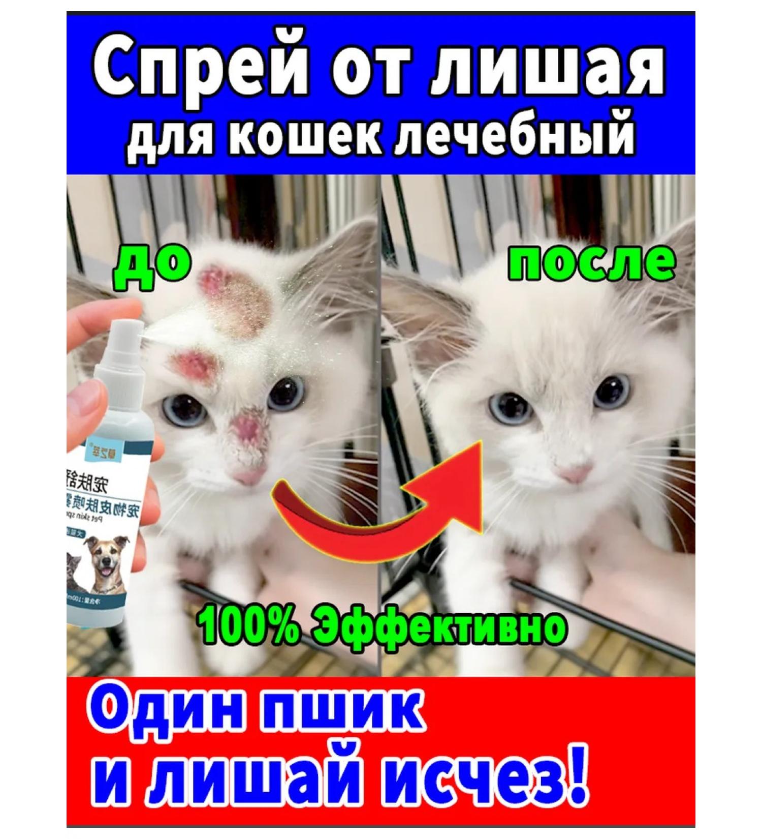 Skin spray for cats 100 ml - Buy Online on GoSupps.com