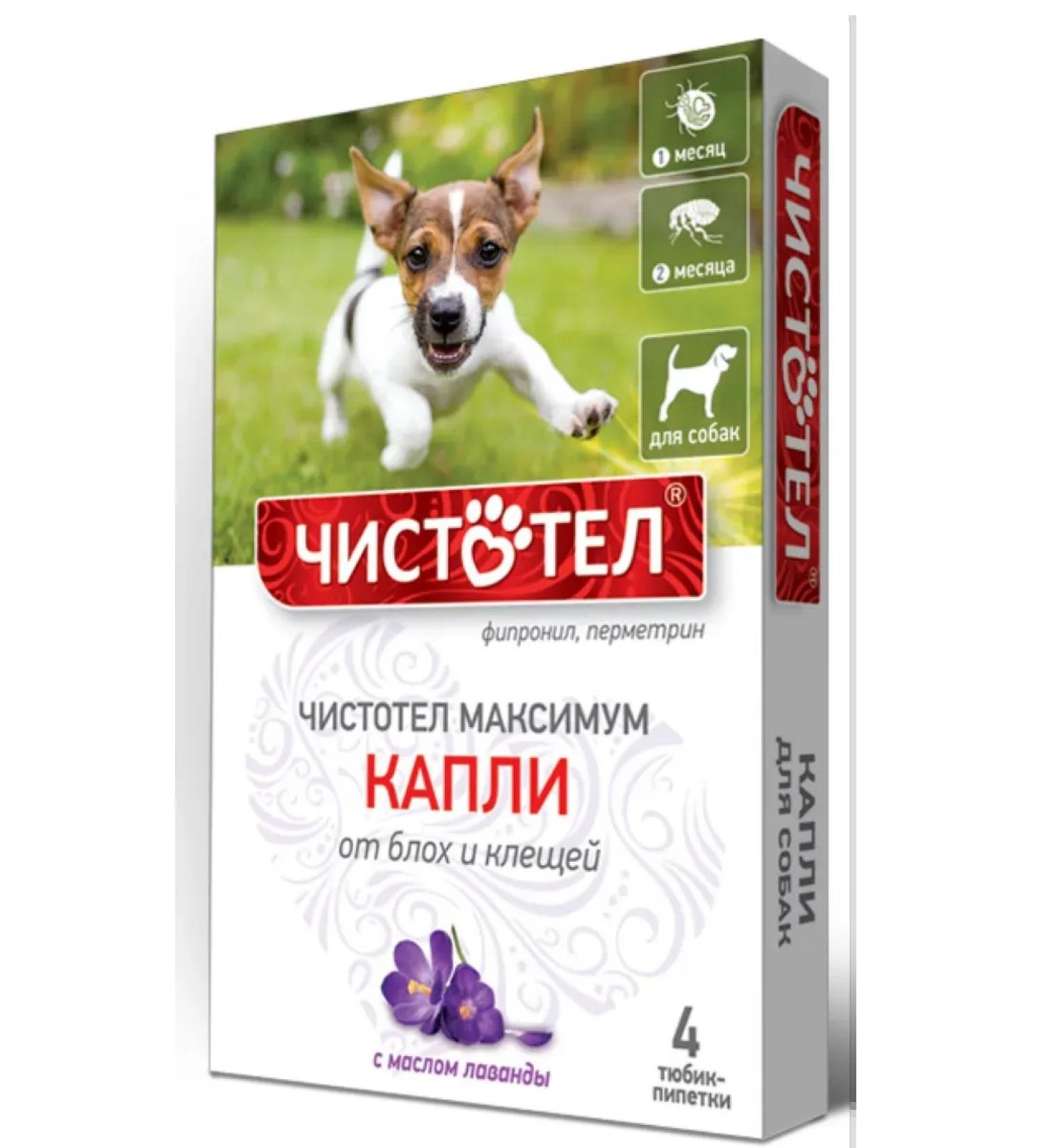 Celandine Maximum drops from fleas for dogs 1ml No. 4