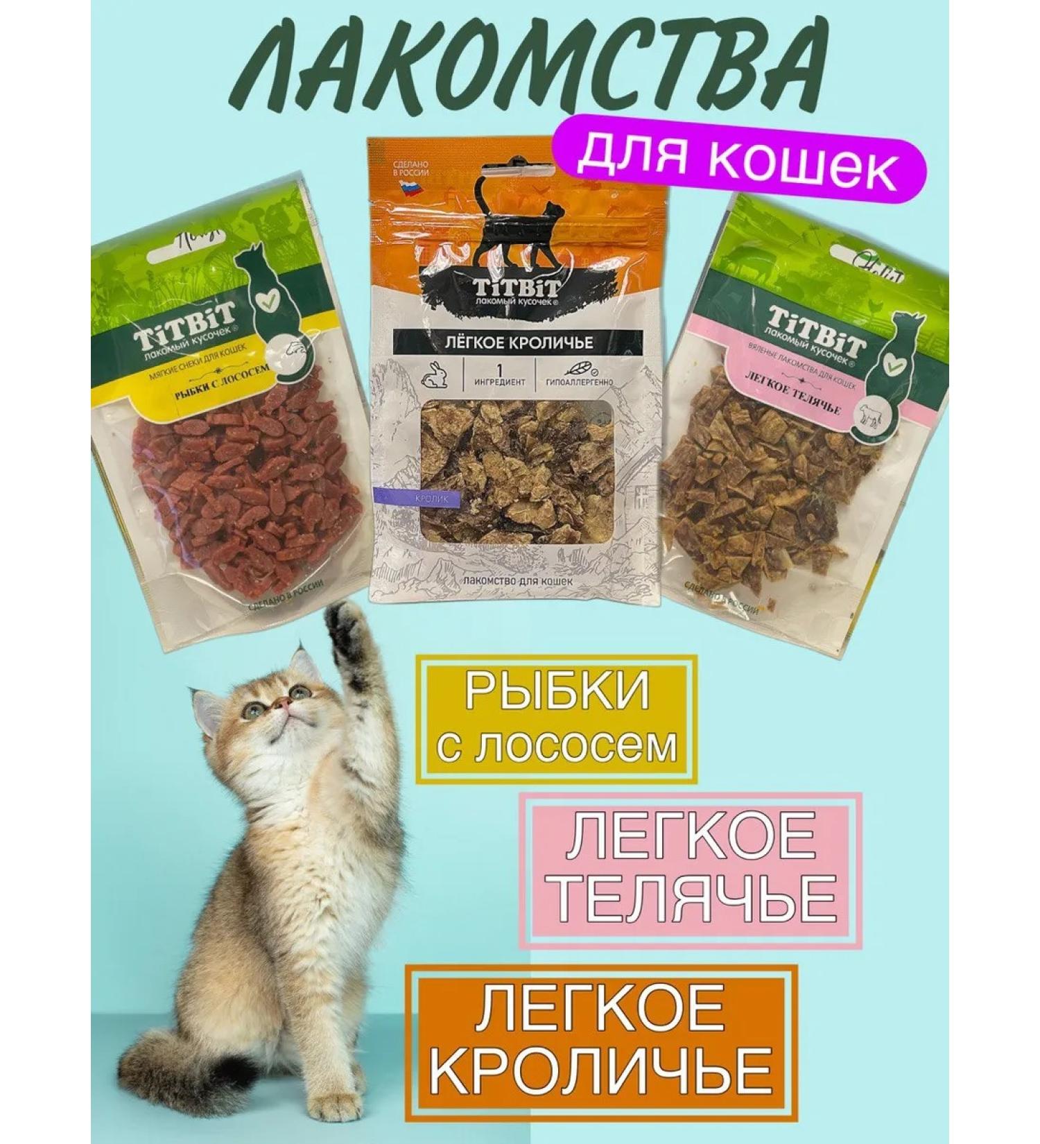 Titbit Cat a treat a set of fish and light - Buy Online on GoSupps.com