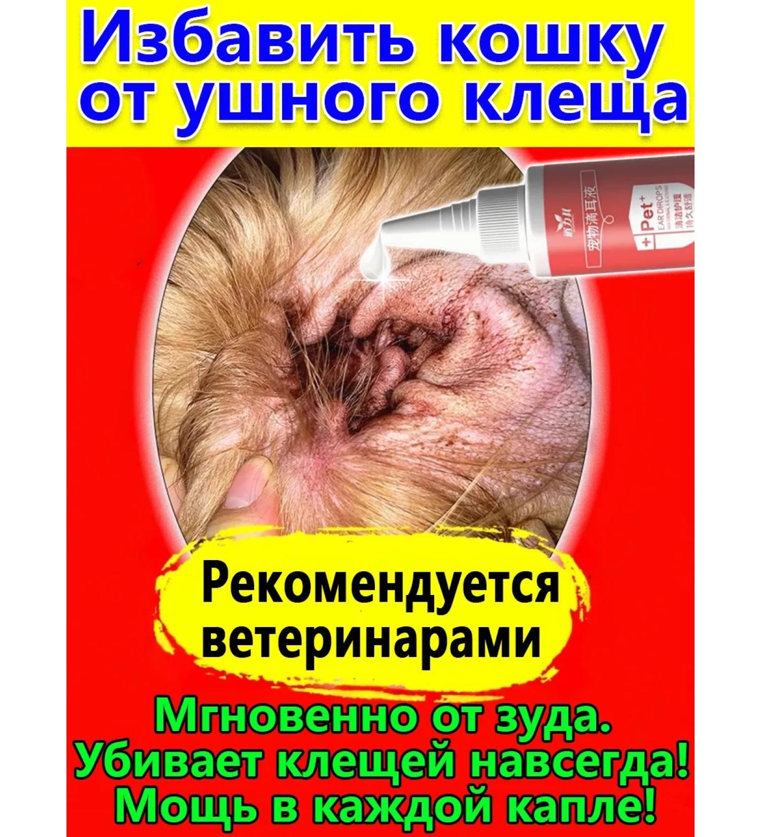 Drops from the ear tick for cats in the ears - Buy Online on GoSupps.com