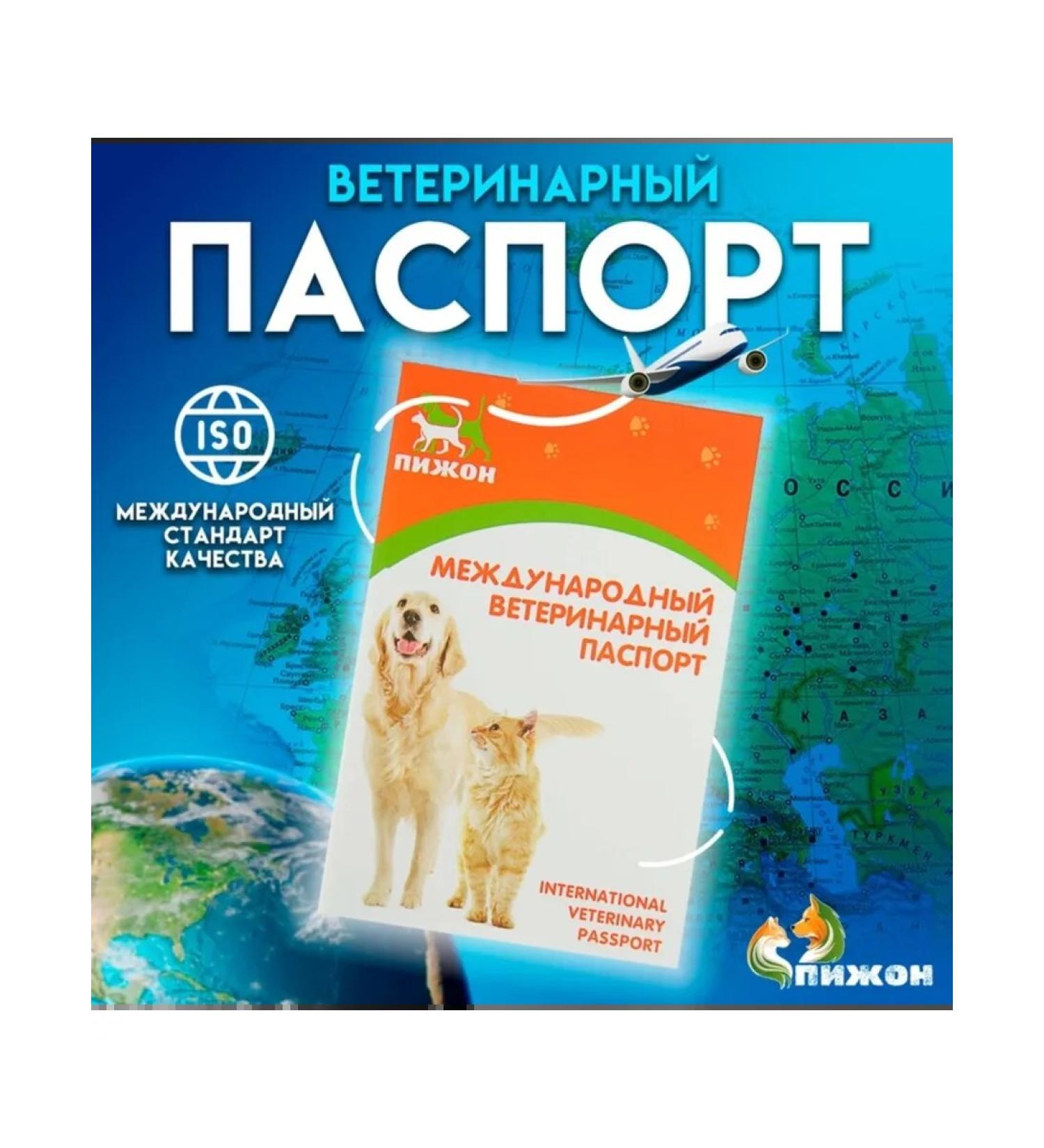Dude Veterinary Passport International Universal 2 pcs - Buy Online on GoSupps.com