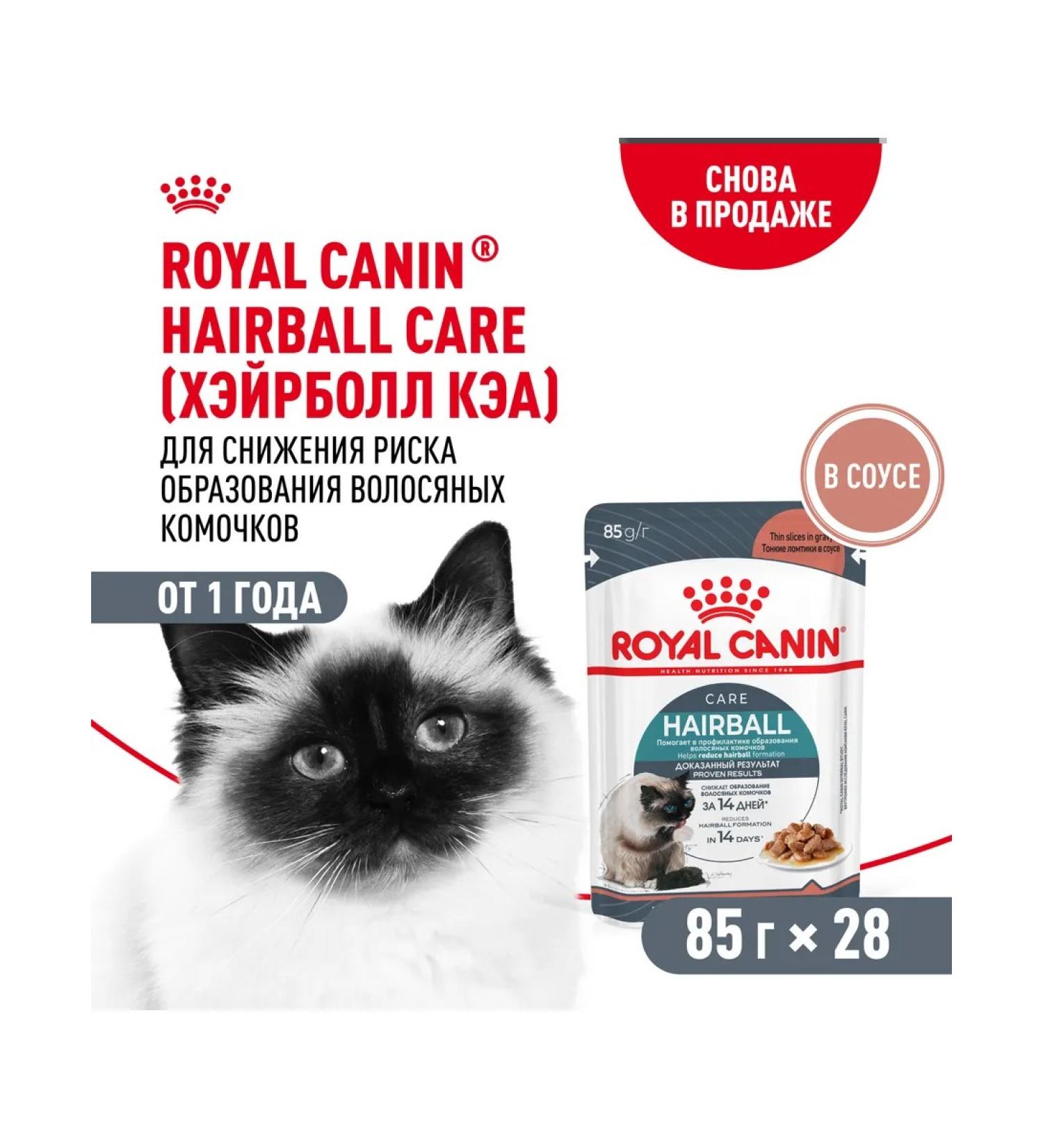 ROYAL CANIN Wet food for cats output of lumps of wool in sauce 28x85g - Buy Online on GoSupps.com