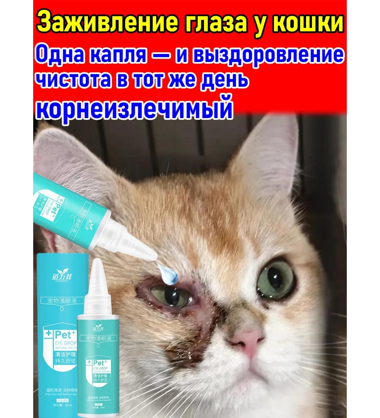 Ophthalmic drops for a cat from inflammation and lacrimation - Buy Online on GoSupps.com