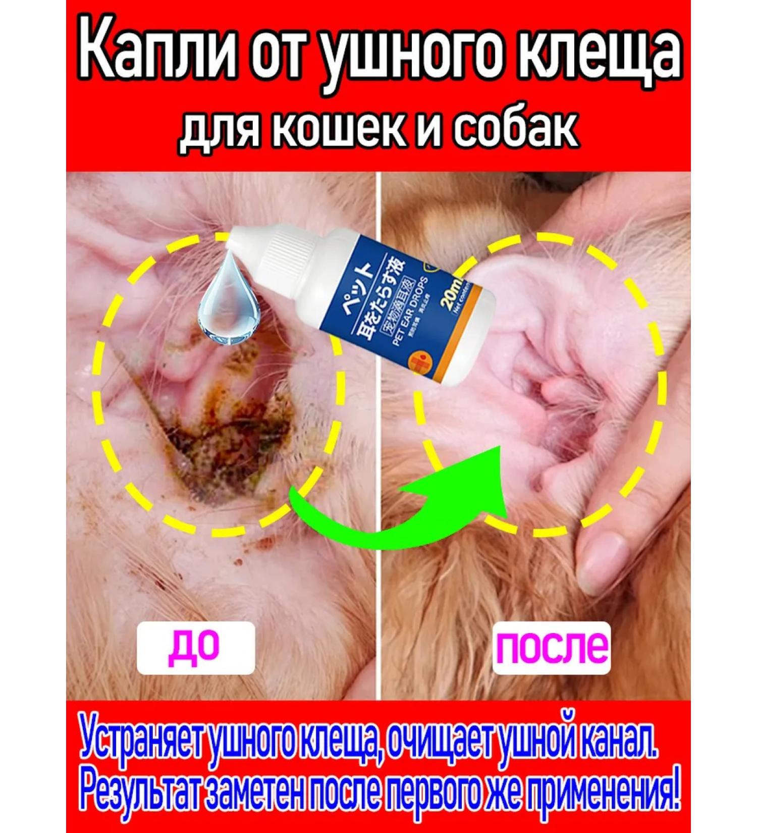 Drops from the ear tick for cats and dogs 20 ml - Buy Online on GoSupps.com