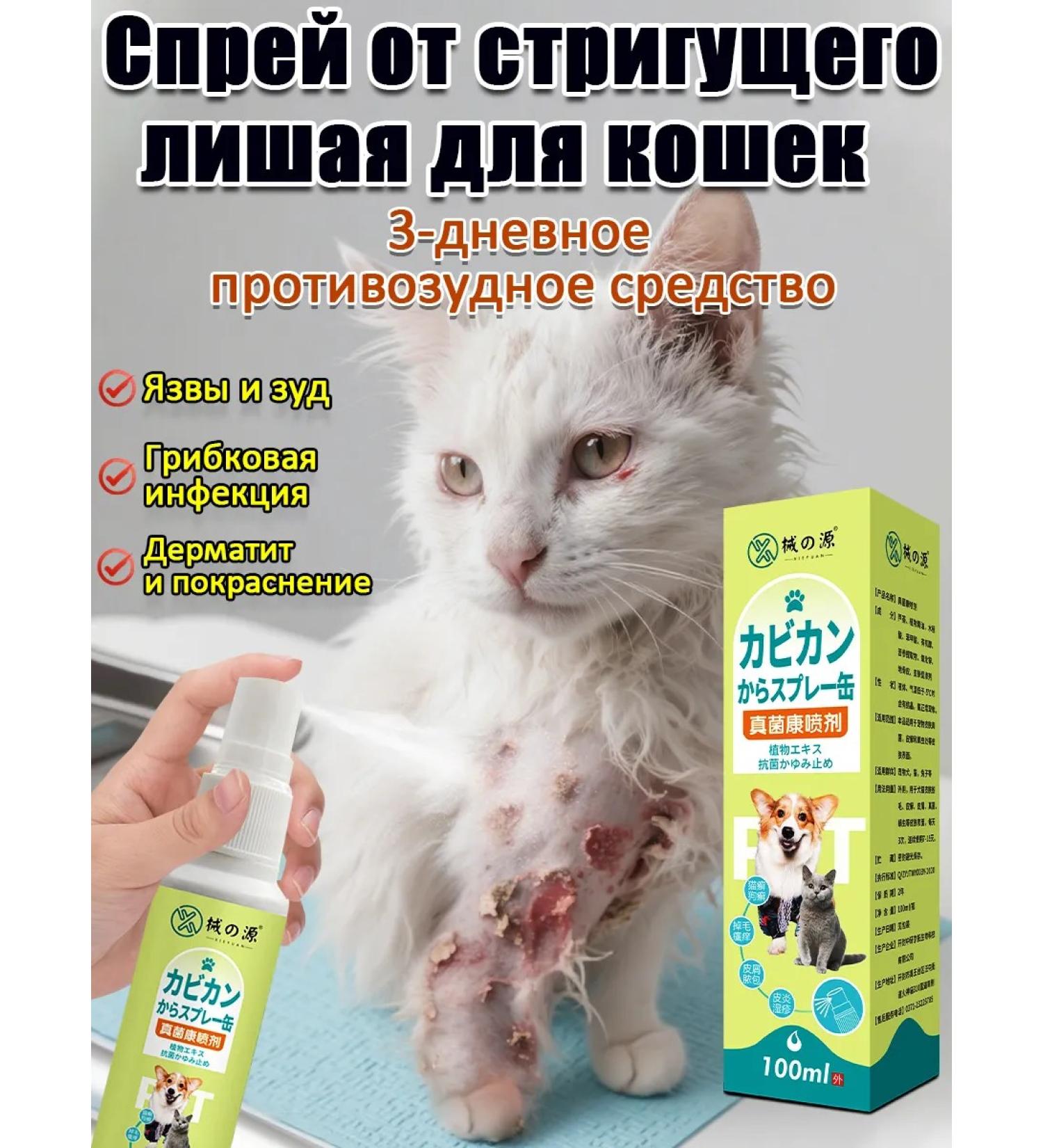 Spray from cutting lichen for and cats with a good effect - Buy Online on GoSupps.com