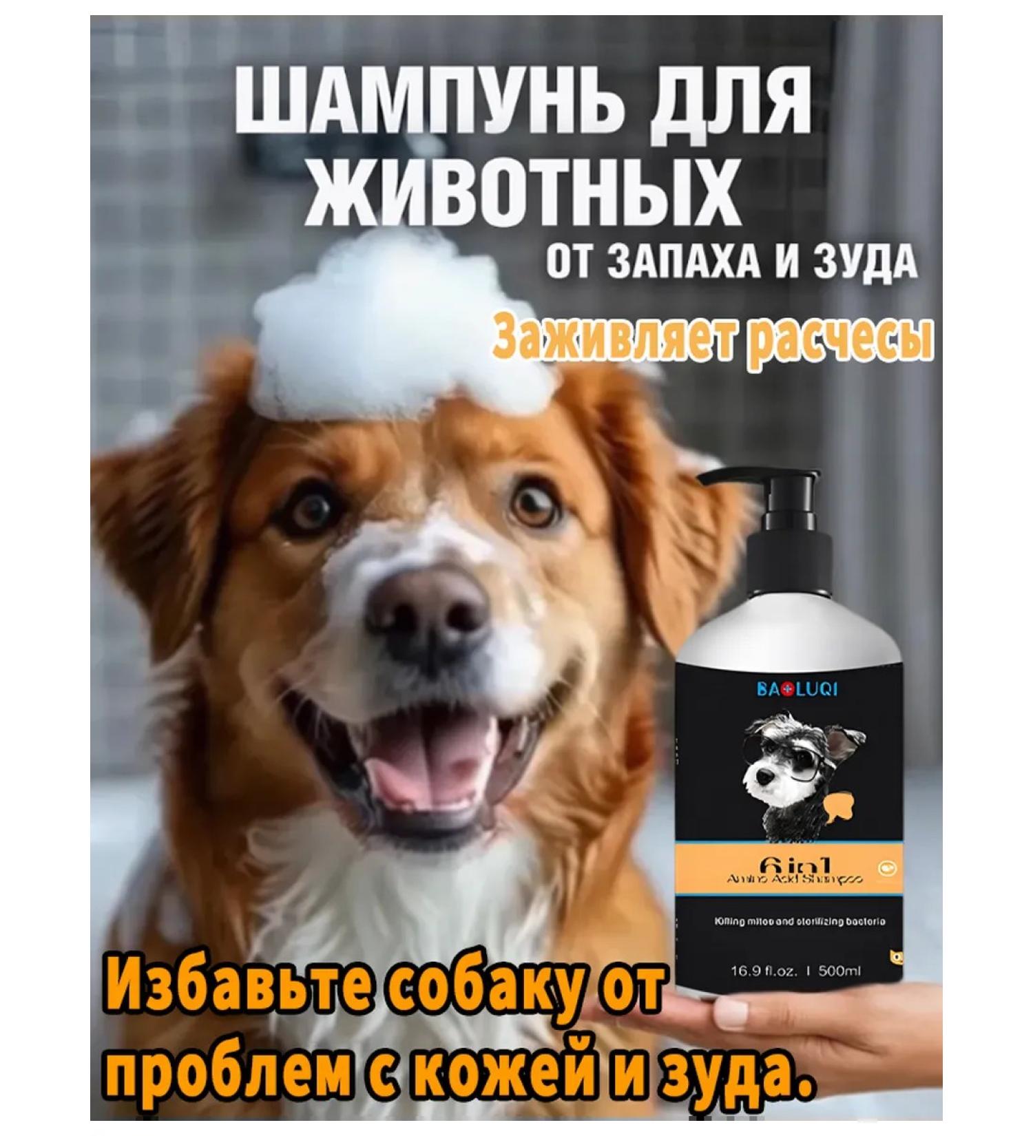 Contractor Contractor for dogs hypoallergenic 2V1 - Buy Online on GoSupps.com