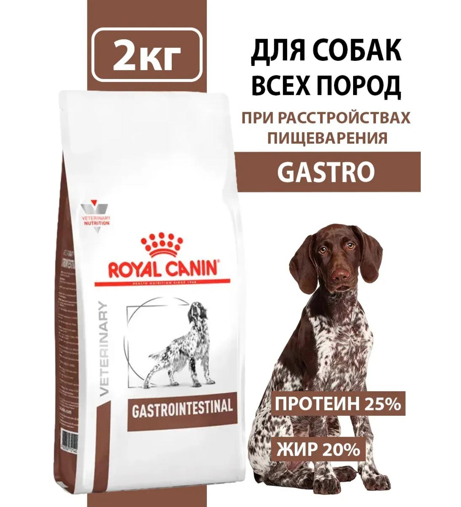 ROYAL CANIN for dogs GastroinTestinal 2 kg - Buy Online on GoSupps.com