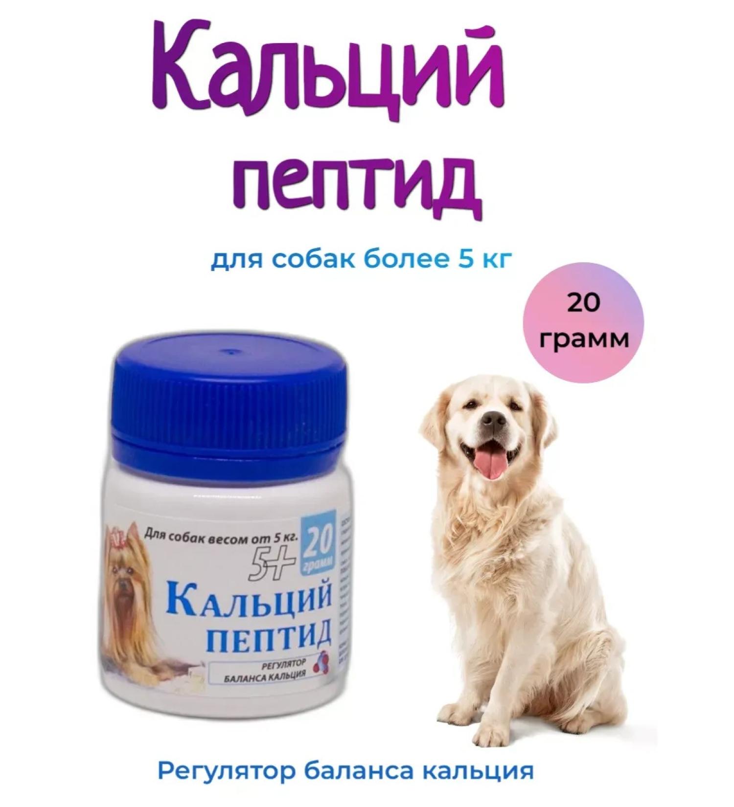 Silver Trail Calcium peptide for 5 kg - Buy Online on GoSupps.com