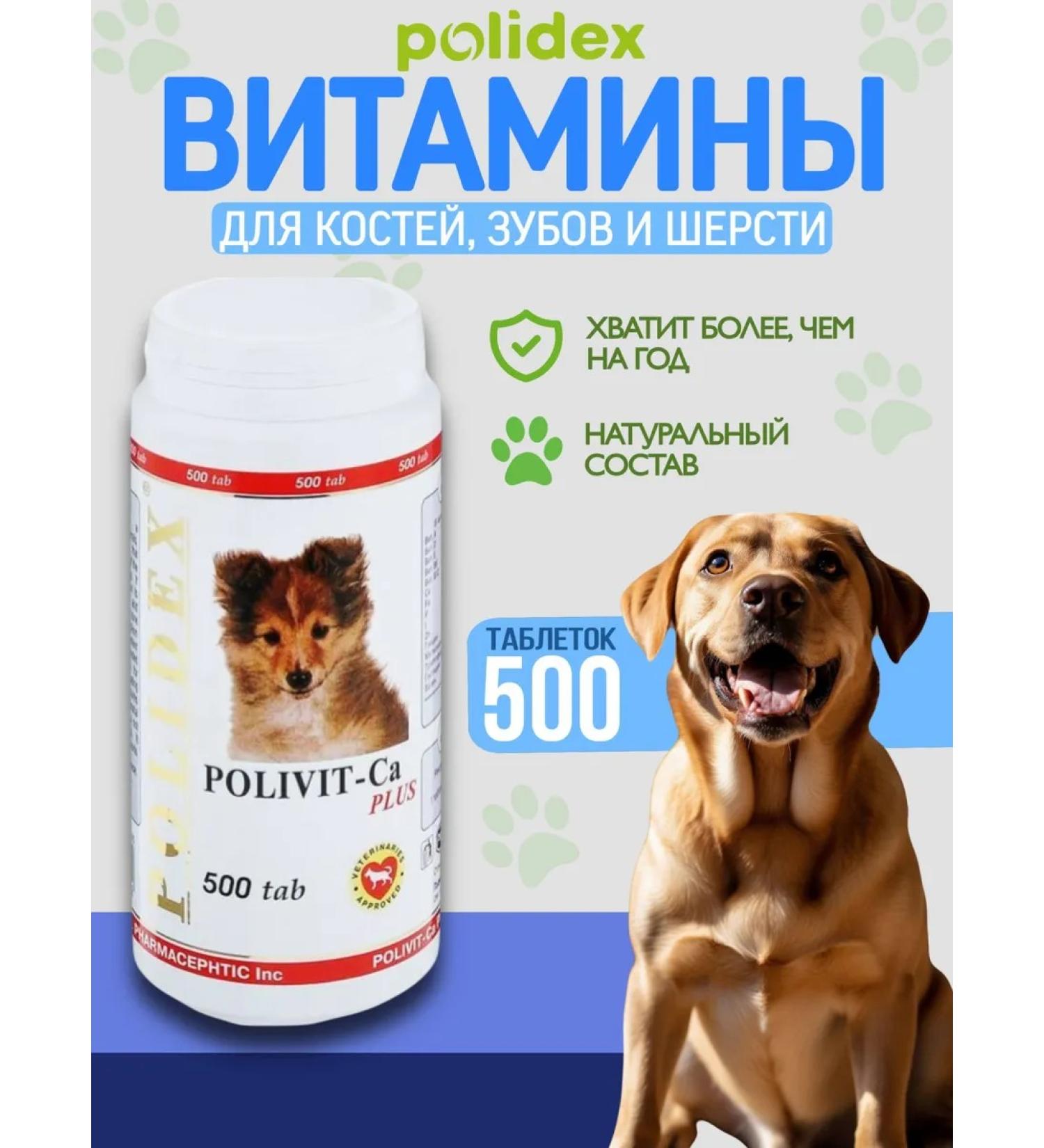 Polidex Polydex Polyvit Calcium Plus Immunity Sobak 500 tab - Buy Online on GoSupps.com