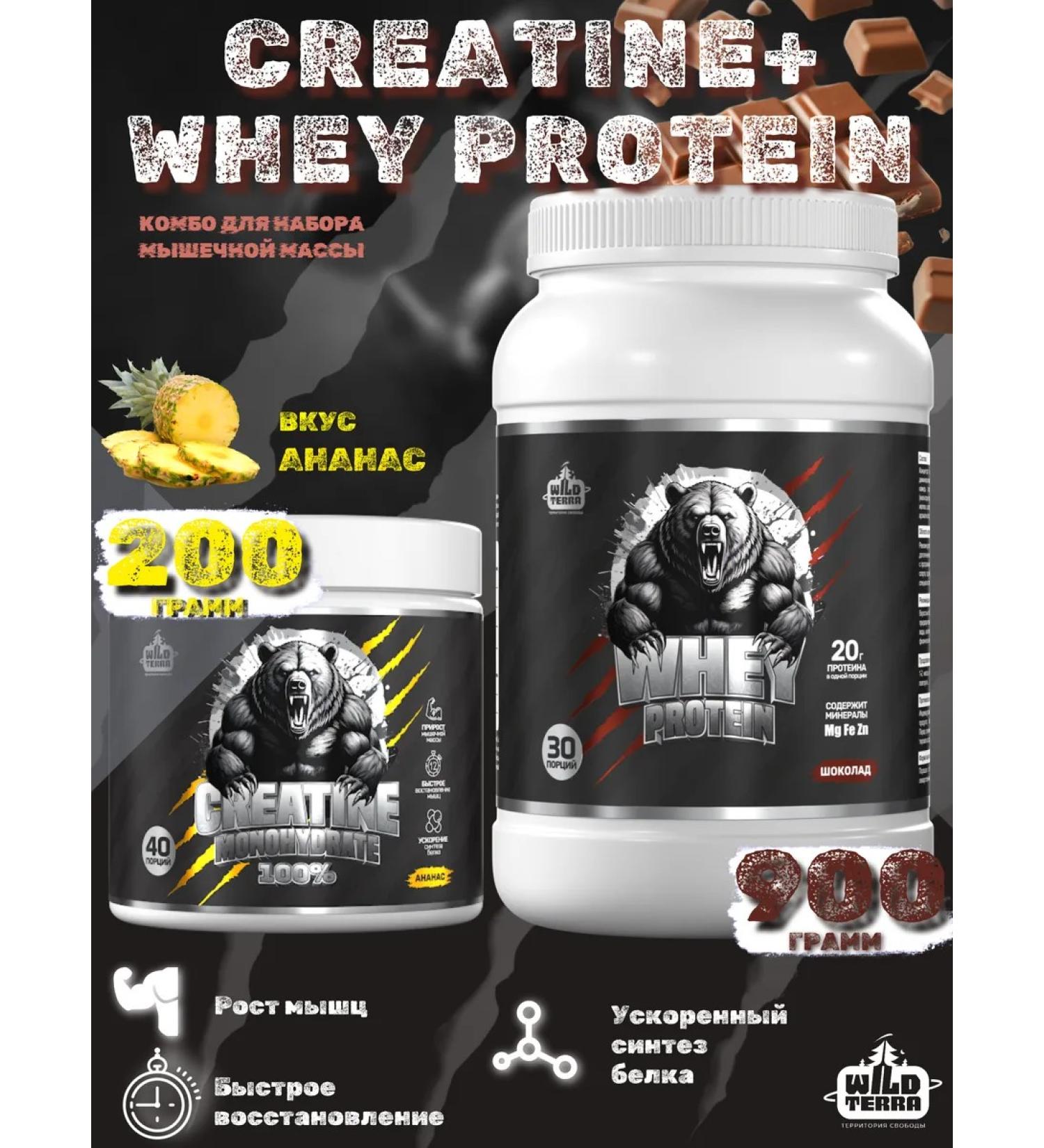 WILD TERRA Protein Whey Protein Chocolate + Creatine Creatine Pineapple - Buy Online on GoSupps.com