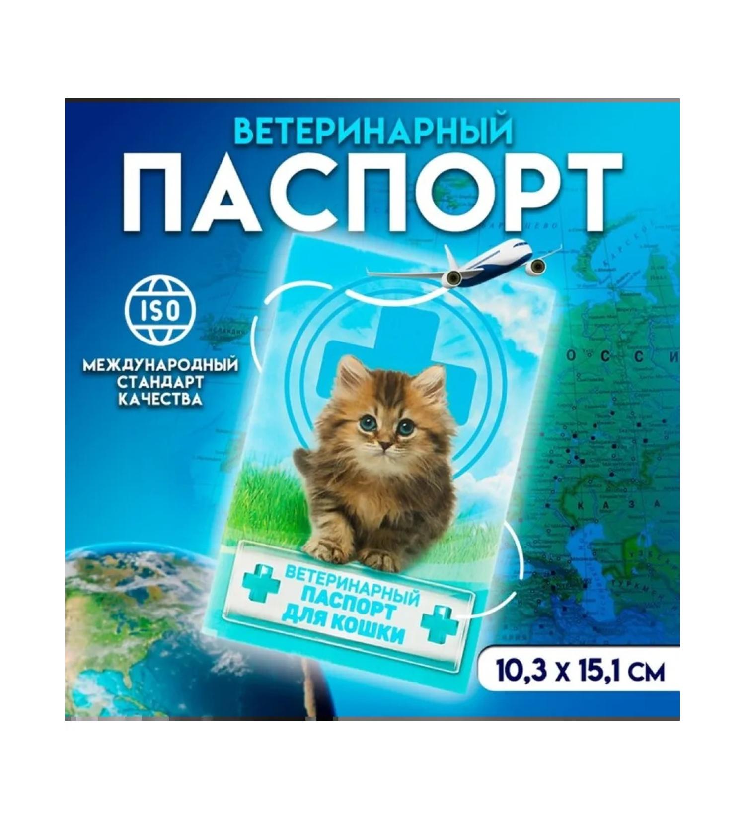 PMDK Veterinary passport for cats 10.3 x 15.1 cm 2 pcs - Buy Online on GoSupps.com