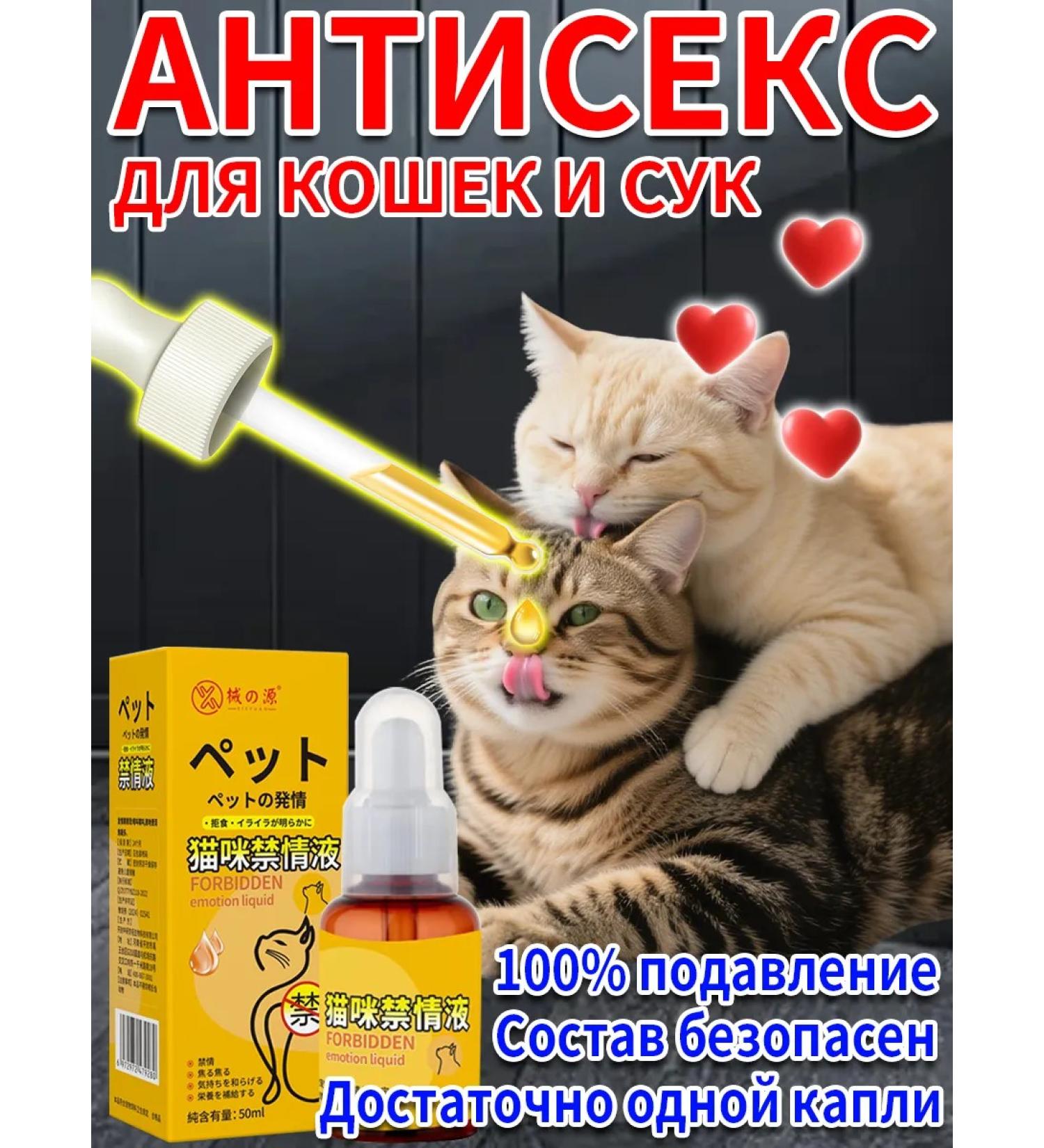Antisex for cats 50 ml - Buy Online on GoSupps.com