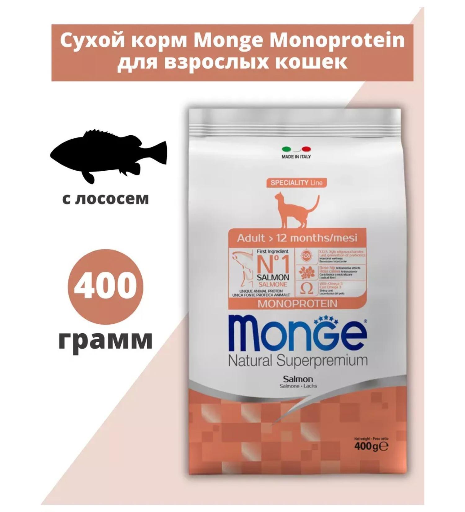 MONGE Dry food for adult cats with salmon 400 grams - Buy Online on GoSupps.com