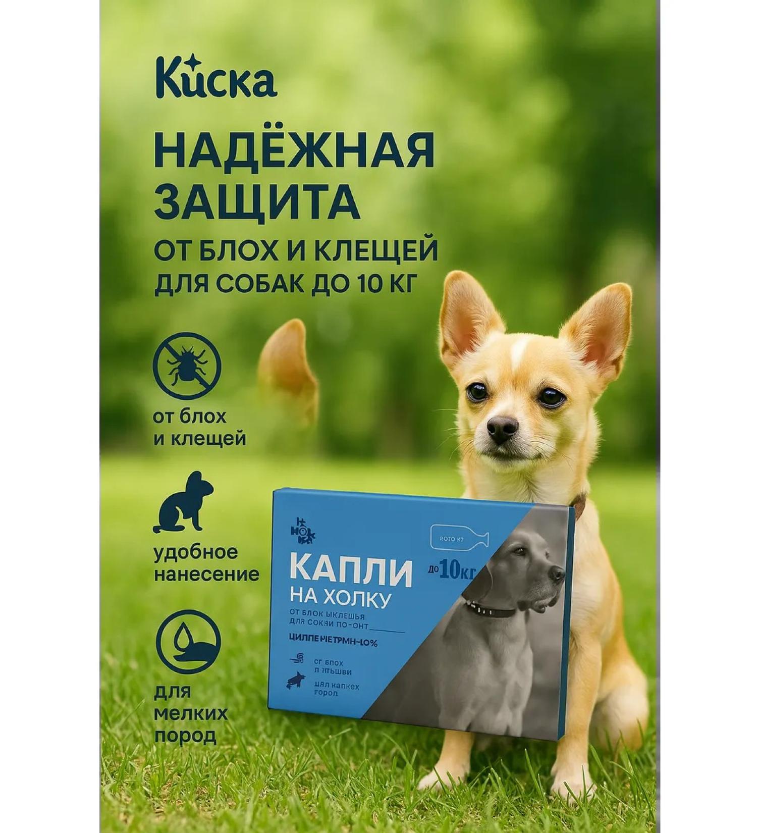 BIBA90 Drops on the withers for dogs of small breeds - Buy Online on GoSupps.com