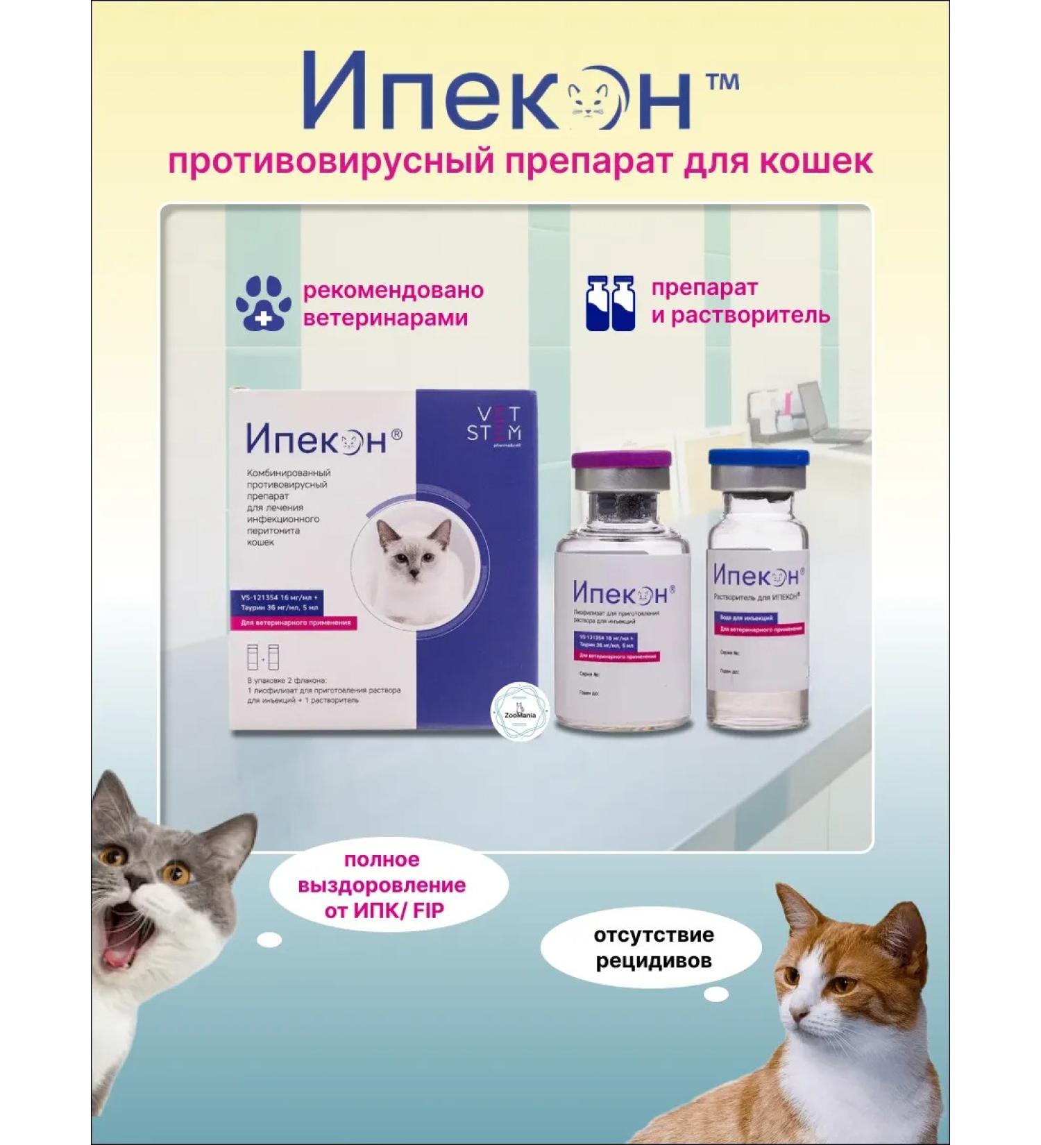 VETSTEM IPECON for cats from FIP IPK 5 ml - Buy Online on GoSupps.com